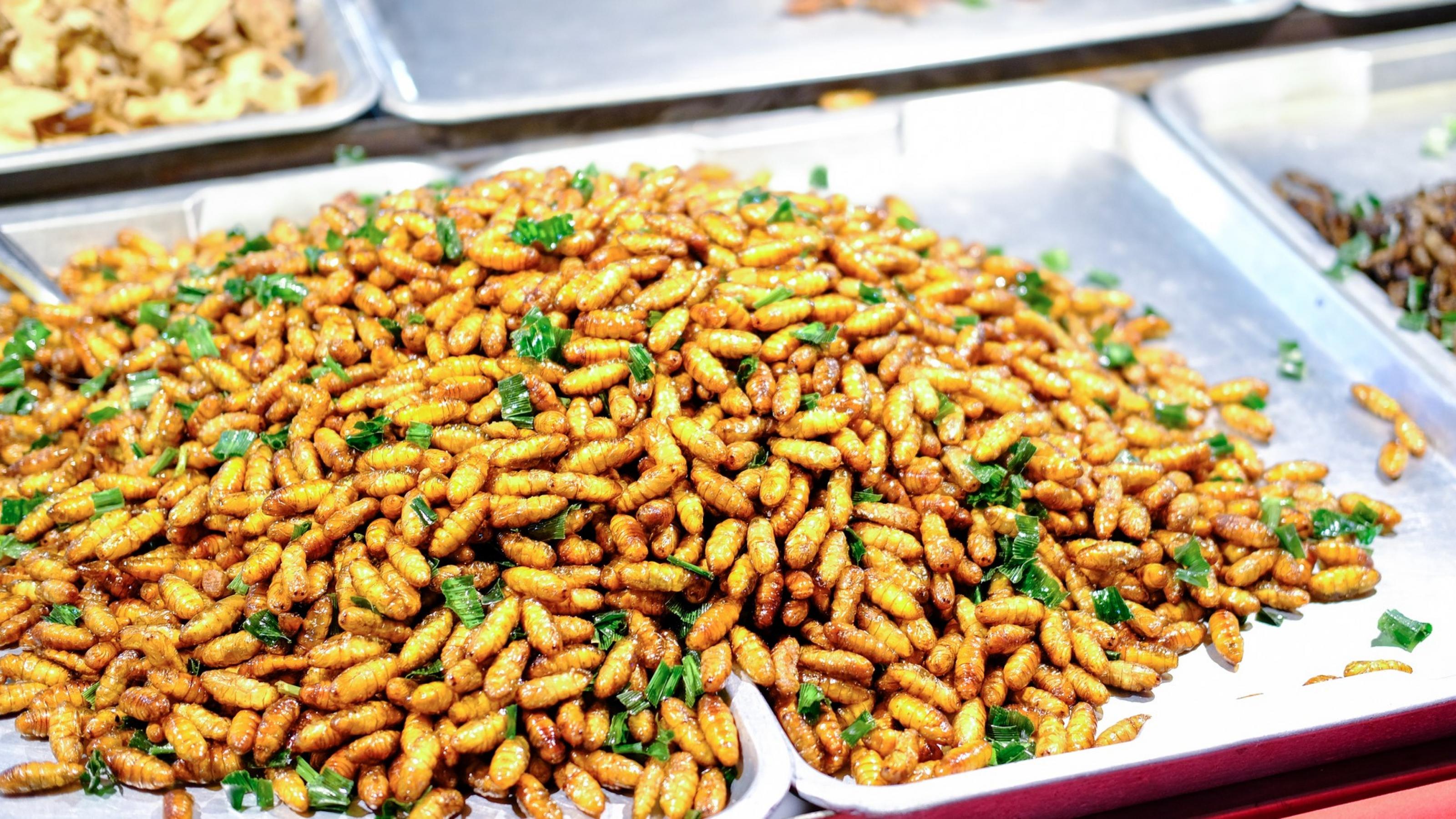 In Deutschland ungewöhnlich, in Asien Alltag. Blick in die Verkaufstheke eines Straßenverkaufs in Thailand: fritierte Insekten.