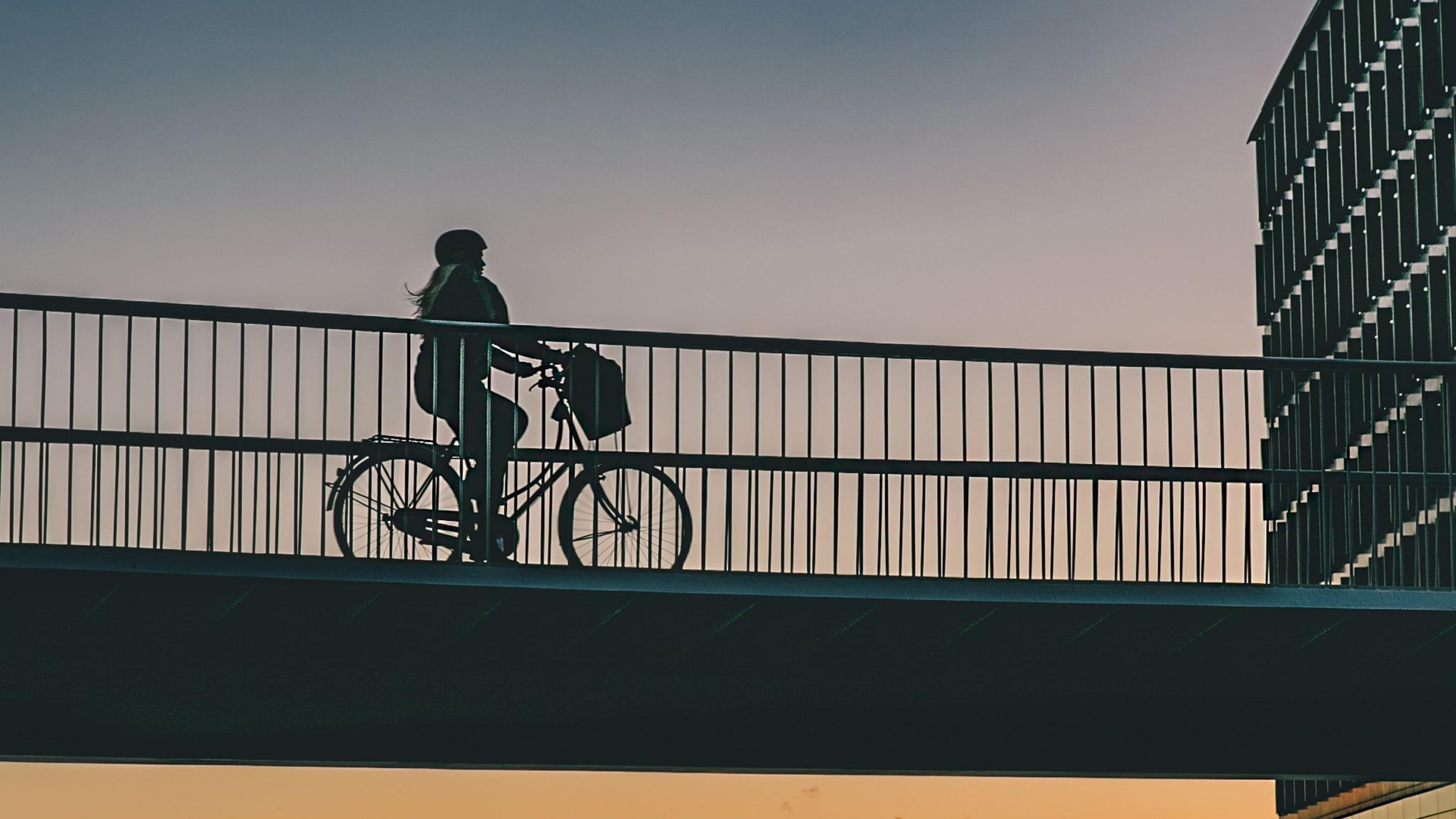 Das Bild zeigt die so genannte Fahrradschlange (auf EnglischCykelslangen, The Bicycle Snake). Das ist eine Brücke, die so konzipiert wurde, dass einzelne Teile der Stadt Kopenhagen für Fahrradfahrer und Fußgänger schneller miteinander verbunden werden. Autofahrer dürfen hier nicht drüber fahren.

http://www.visitcopenhagen.com/copenhagen/sightseeing/bike-city-copenhagen