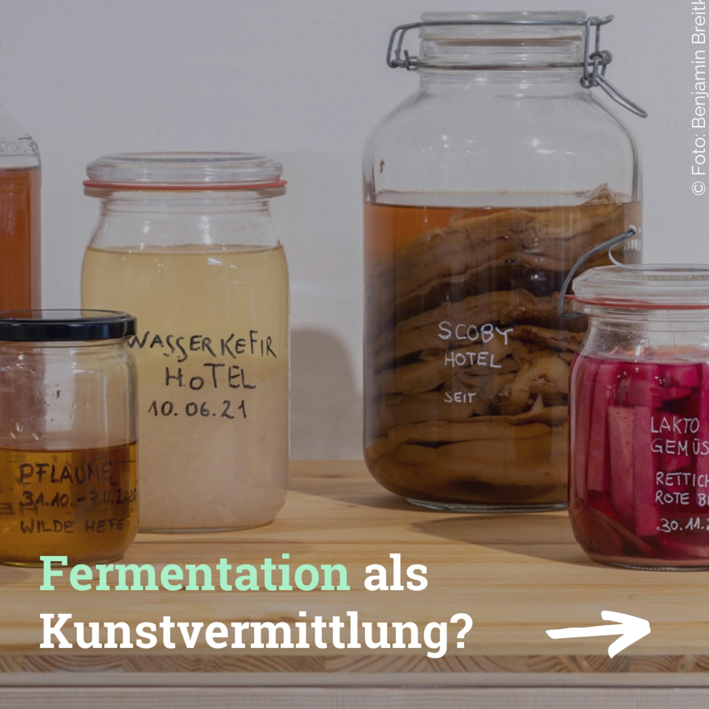 Auf dem Bild sind Einmachgläser zu sehen, in denen verschiedene, bunte Lebensmittel fermentiert sind. Darauf der Text: Fermentation als Kunstvermittlung?