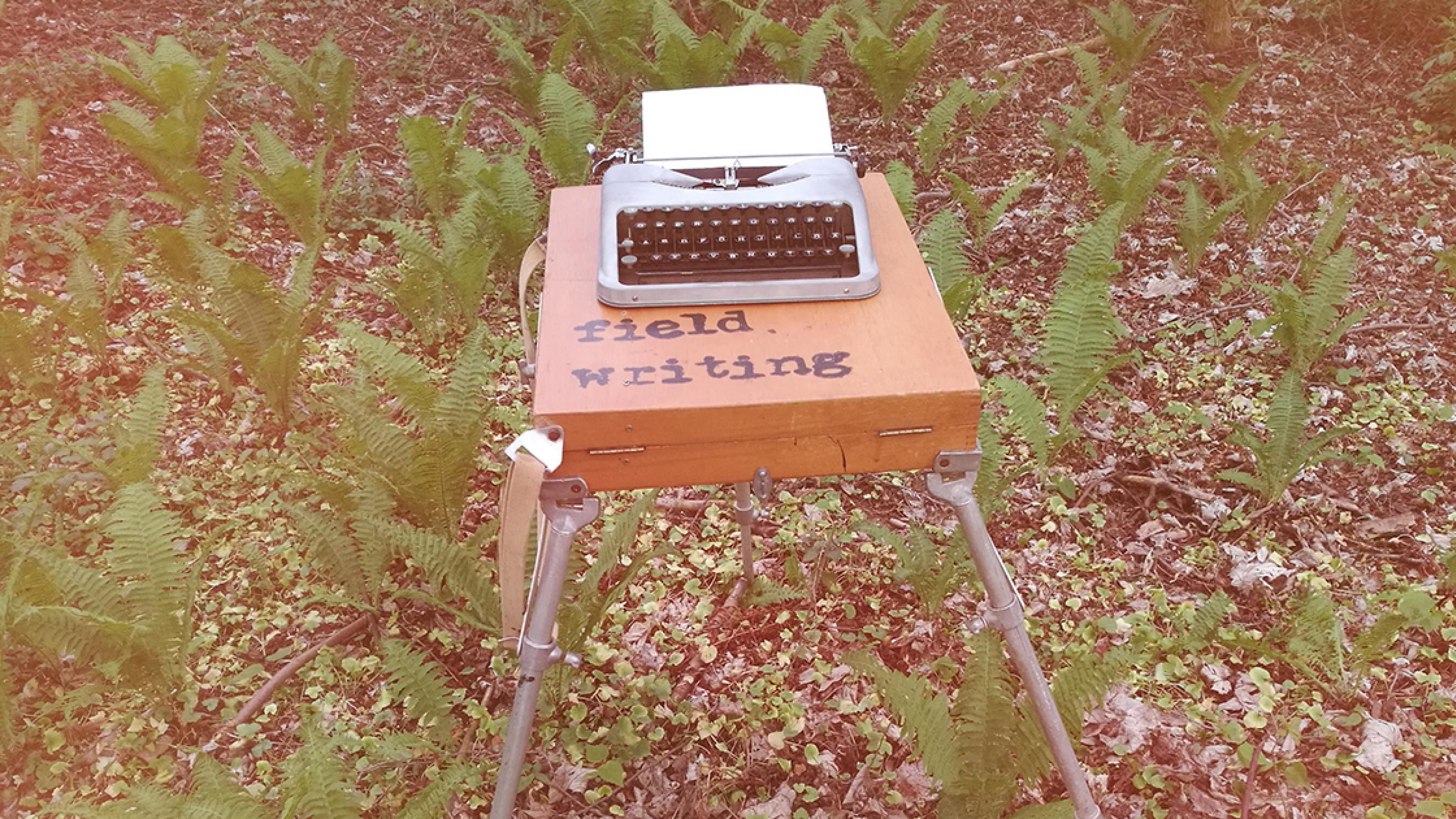 Eine Schreibmaschine auf einer Kiste im Wald [AI]