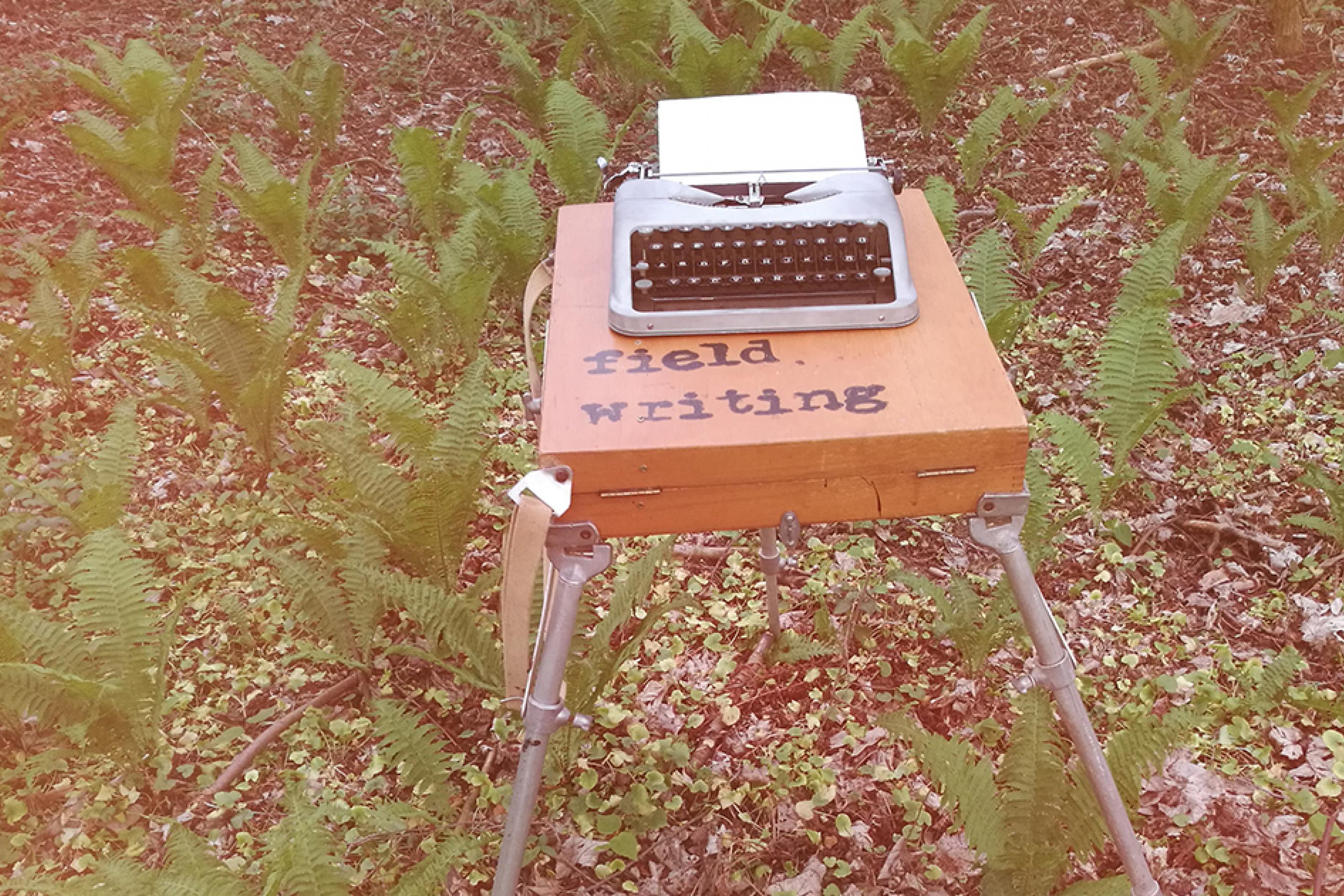 Eine Schreibmaschine auf einer Kiste im Wald [AI]