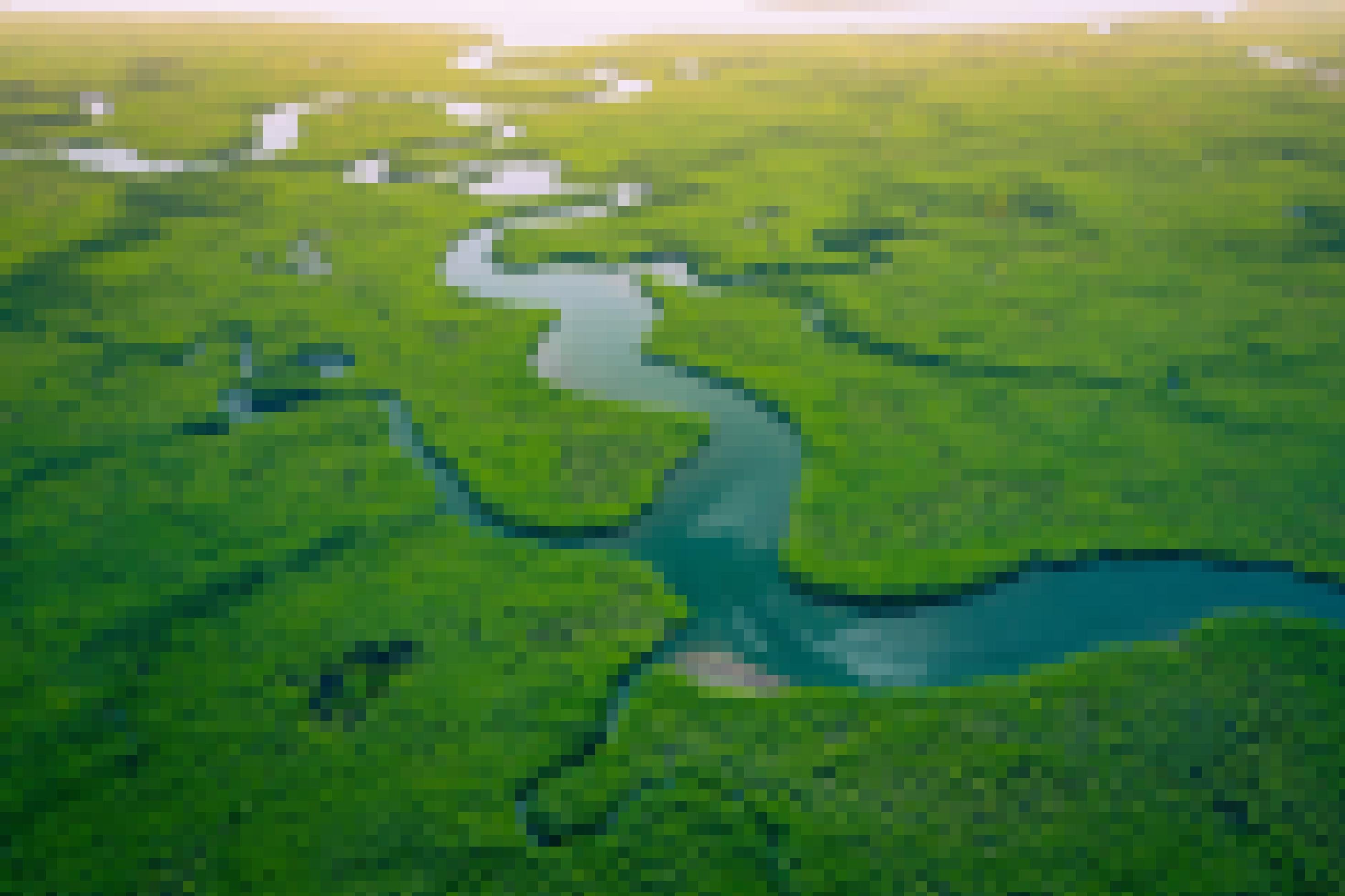 Ein Mangrovenwald in Gambia, aus der Luft gesehen. Man sieht das dichte Grün der Mangroven und einen Fluss, der sich hindurch schlängelt.