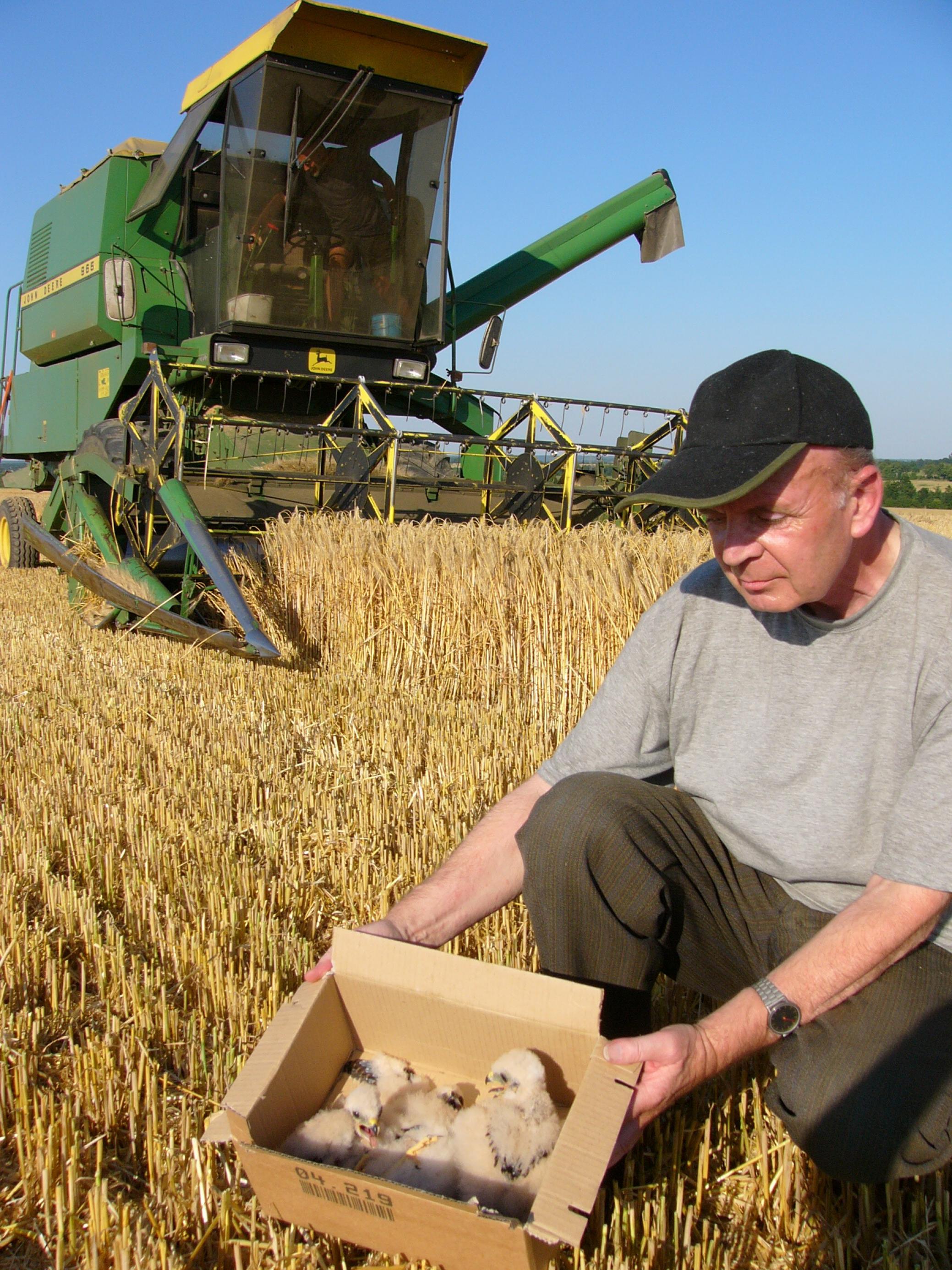 Ein Mann hält einen Karton mit vier jungen Vögeln darin vor sich, er sitzt auf dem Boden eines Feldes, im Hintergrund ein Mähdrescher