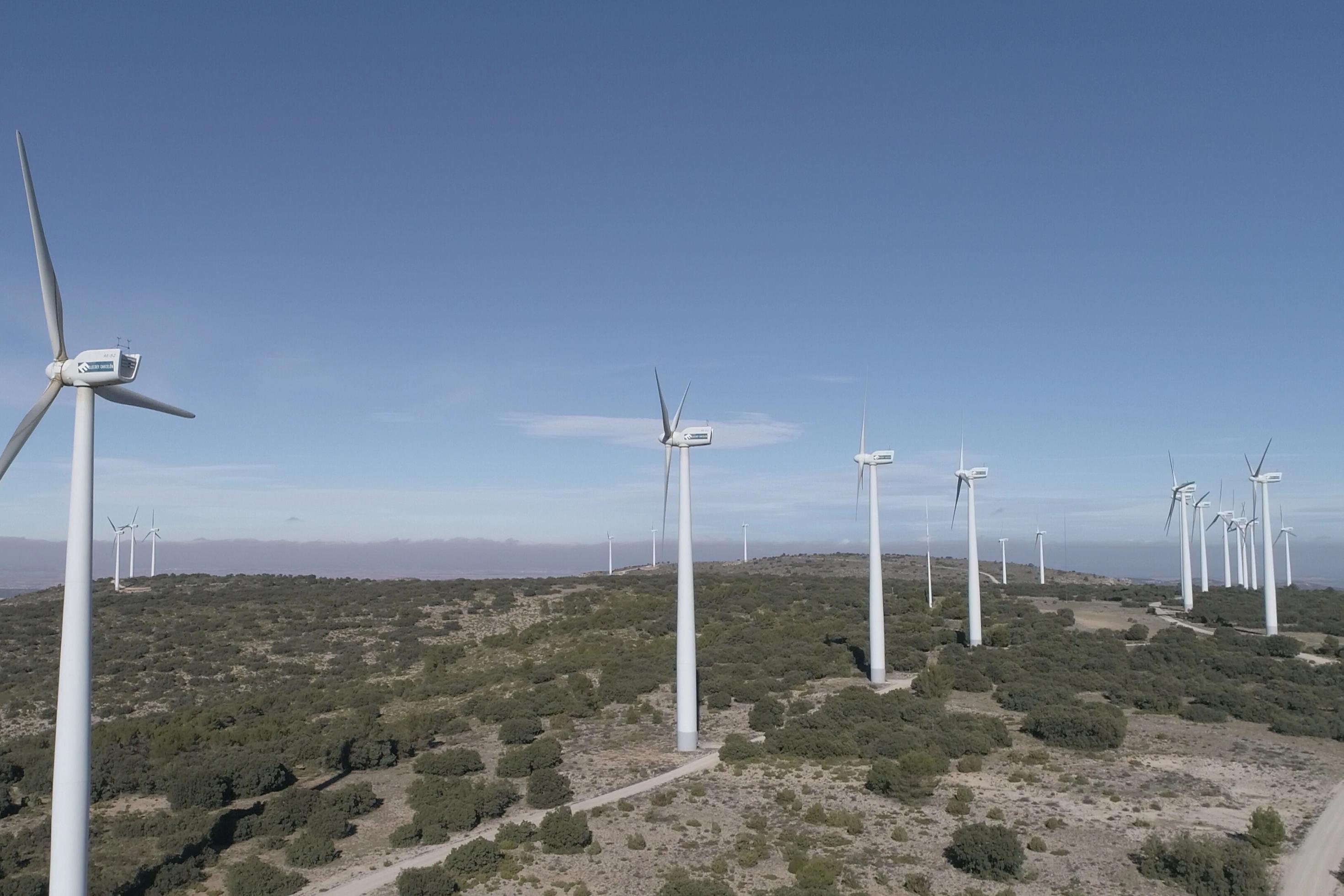 Eine große Anzahl Windräder steht auf einer weitläufigen, hügeligen Landschaft mit niedrigen Sträuchern und einem hellen Erdweg. Über ihnen erstreckt sich ein klarer, blauer Himmel, der die offene und ruhige Umgebung betont.