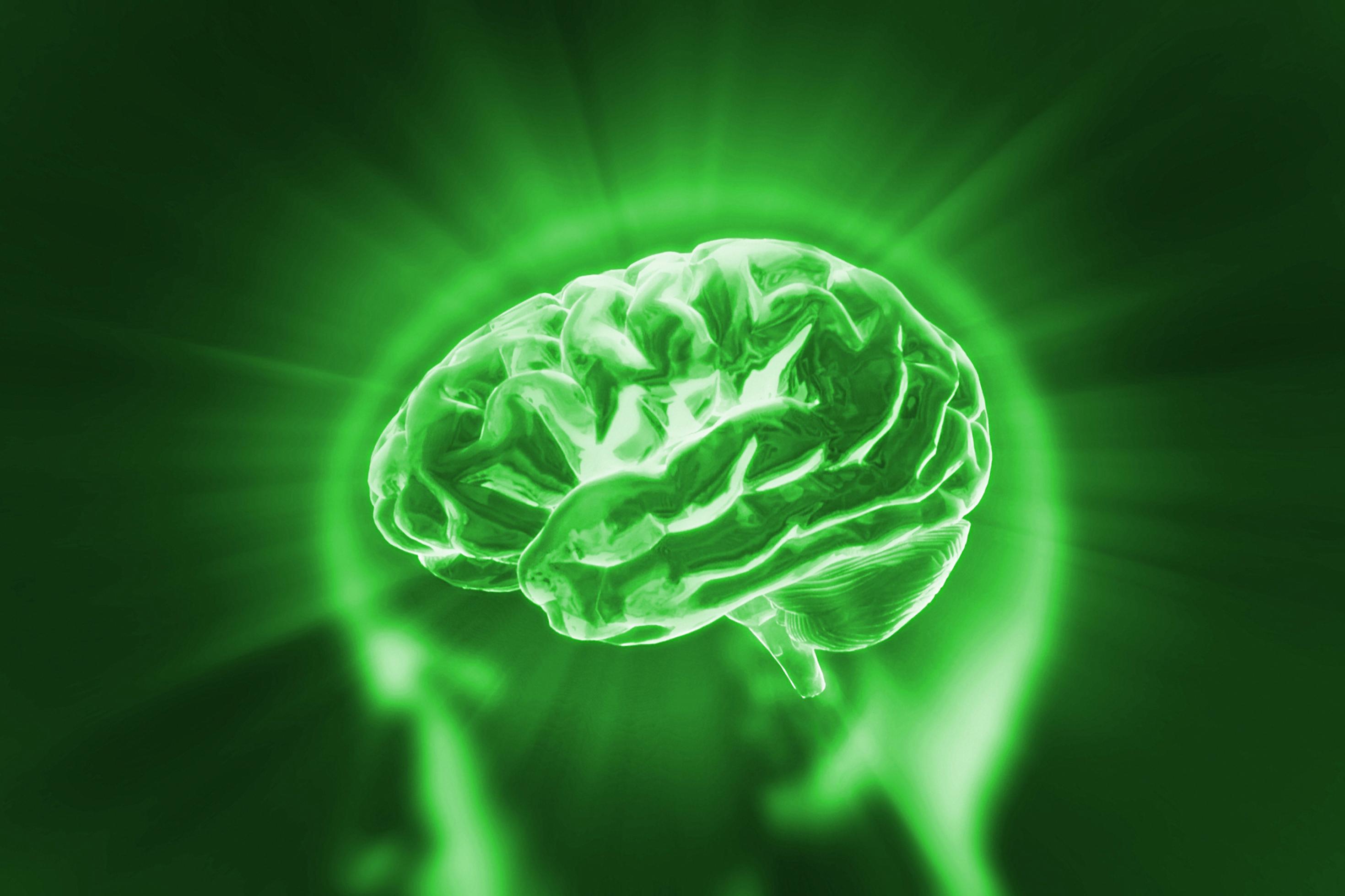 Künstlerisches Bild eines grünen Gehirns als Symbol für grüne, also energieeffiziente KI.