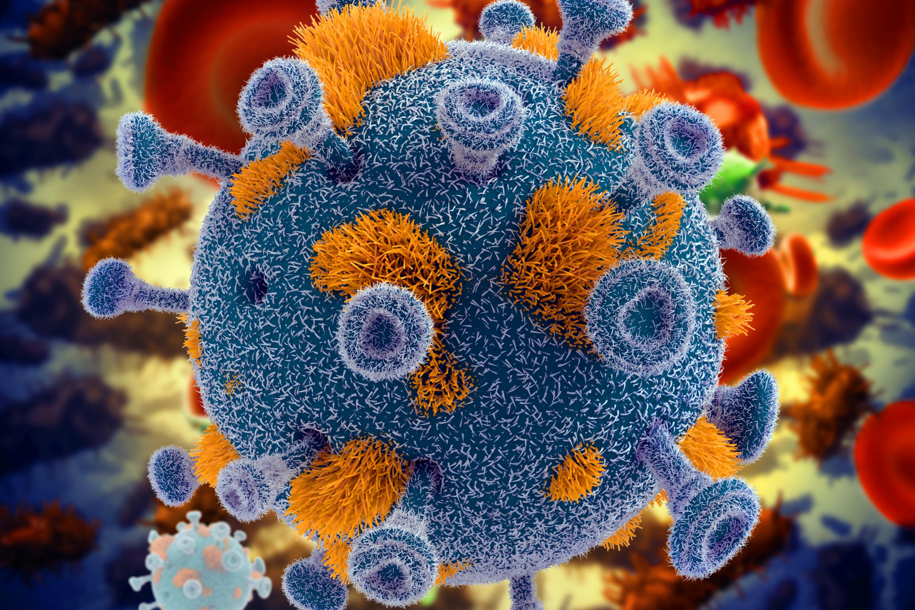 Eine HIV-Zelle