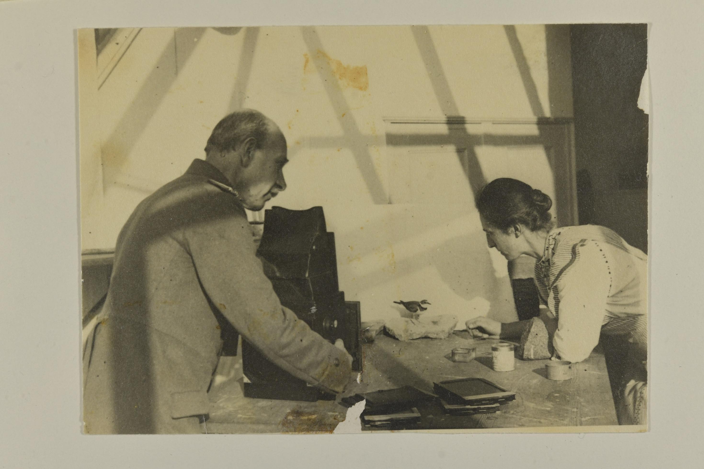 Das Ehepaar Heinroth fotografiert auf einem Tisch einen kleinen Flussregenpfeifer