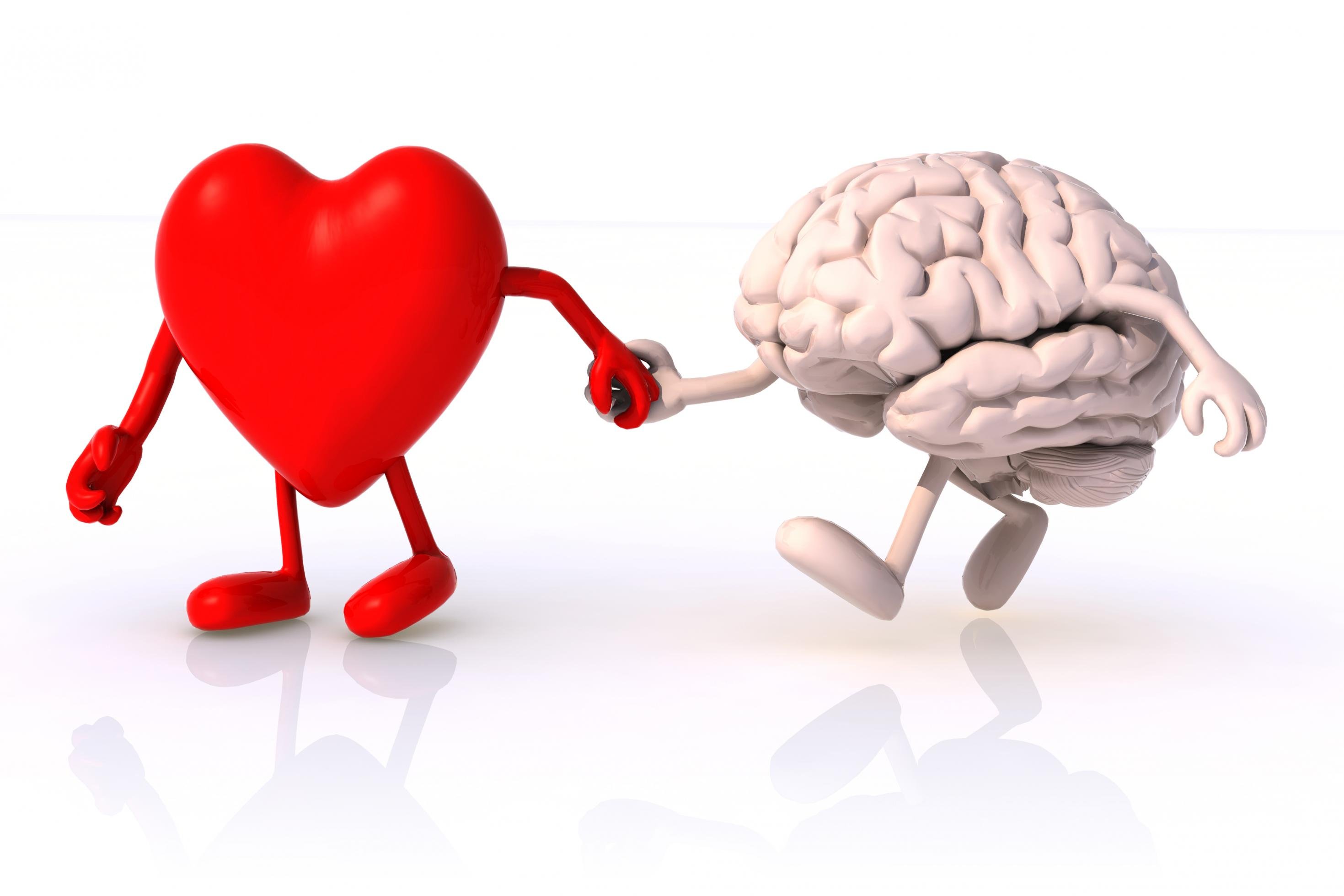 eine Illustration von Herz und Gehirn, die miteinander Hand in Hand gehen