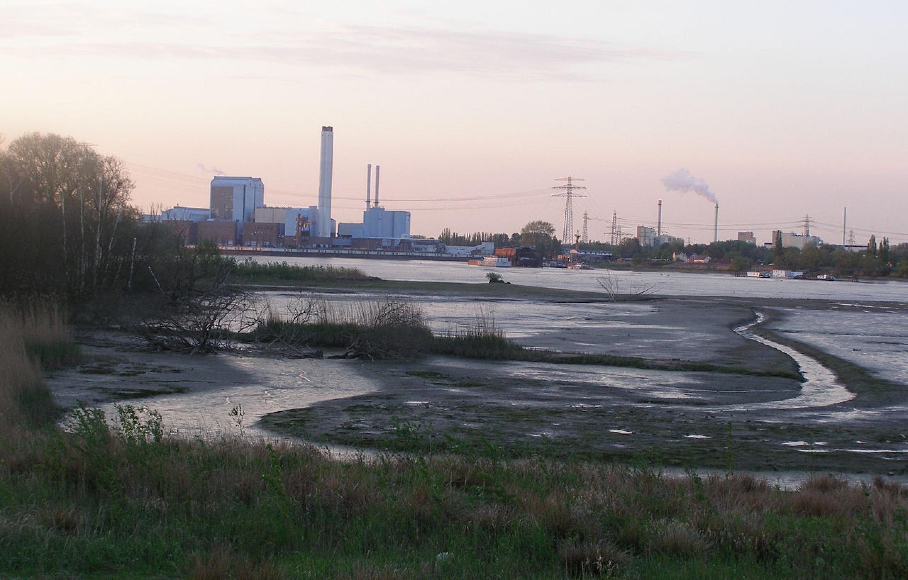 Der Holzhafen vor der Elbinsel Kaltehofe fällt bei Ebbe teilweise trocken – so entsteht ein Süßwasserwatt. An seinem nördlichen Ufer erhebt sich das Heizkraftwerk Tiefstack.