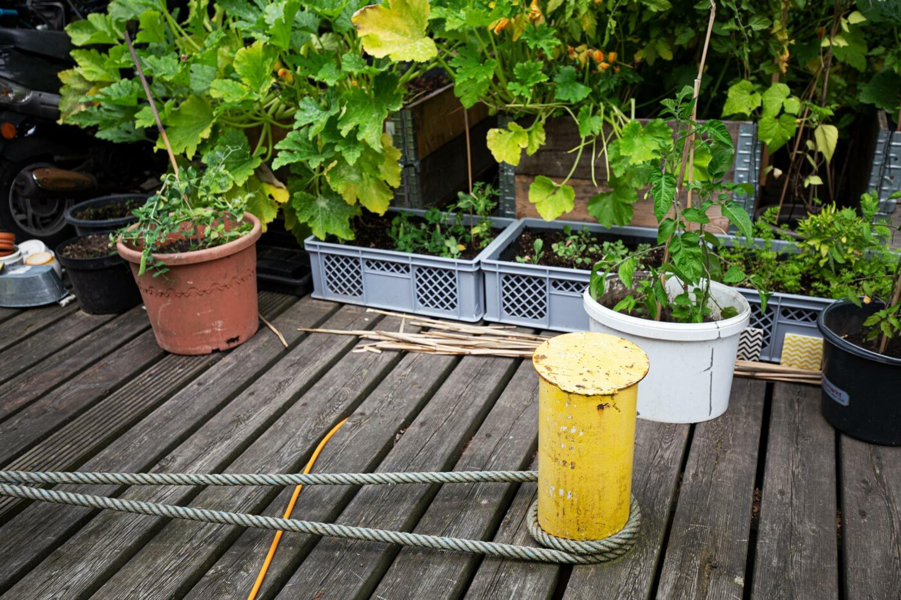 Der Anleger ist gleichsam die Verbindung zum Festland. Für den kleinen Nutzgarten ist an Bord kaum Platz.