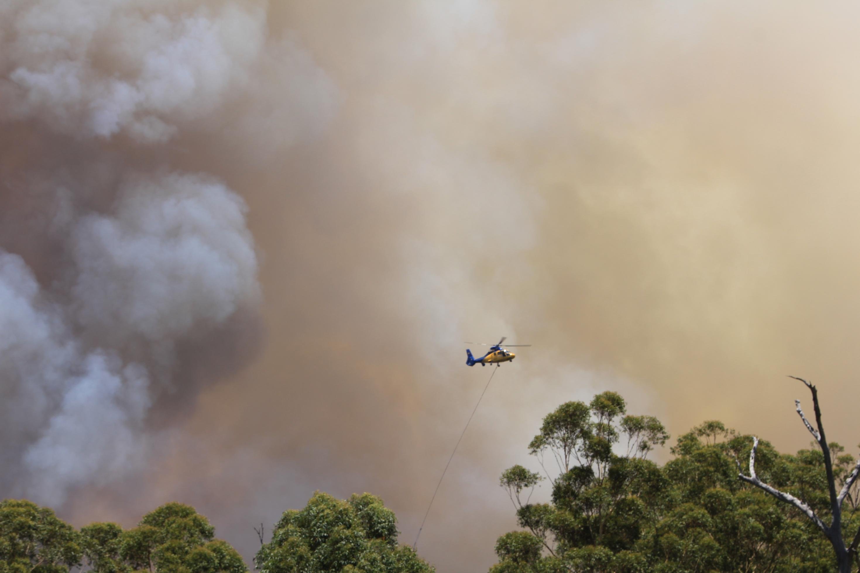 Ein Löschhubschrauber wirft über einem Waldbrand in New South Wales Wasser ab.