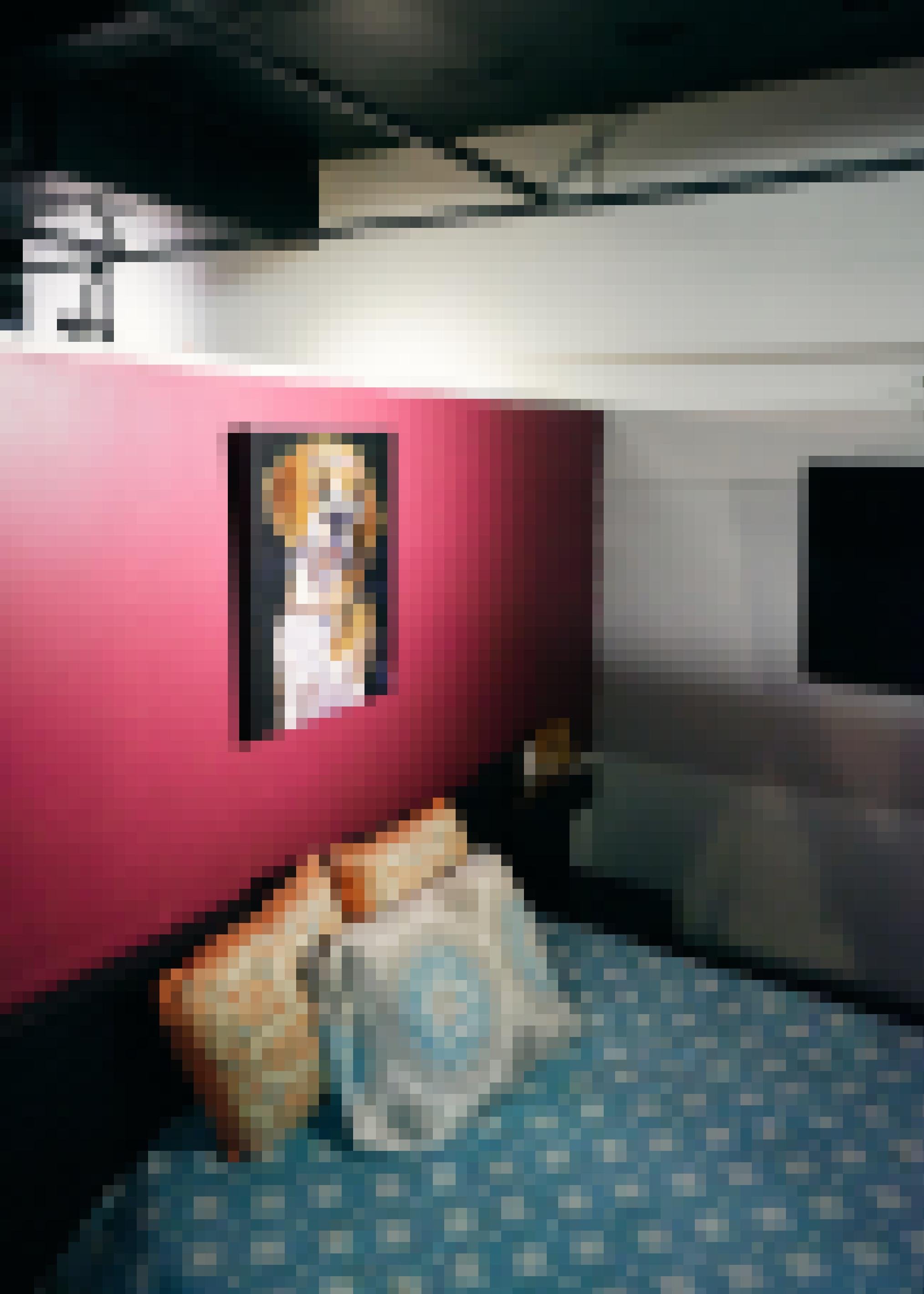 Zu sehen ist ein Hotelzimmer. Über dem Bett hängt das Gemälde eines Hundes.