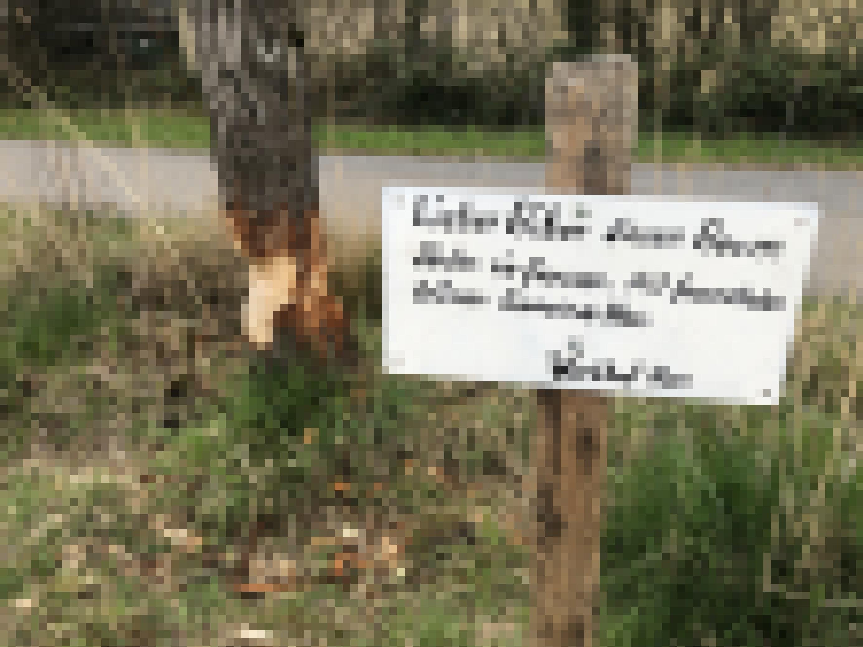 Von einem Biber angenagter Baum, daneben ein Schild