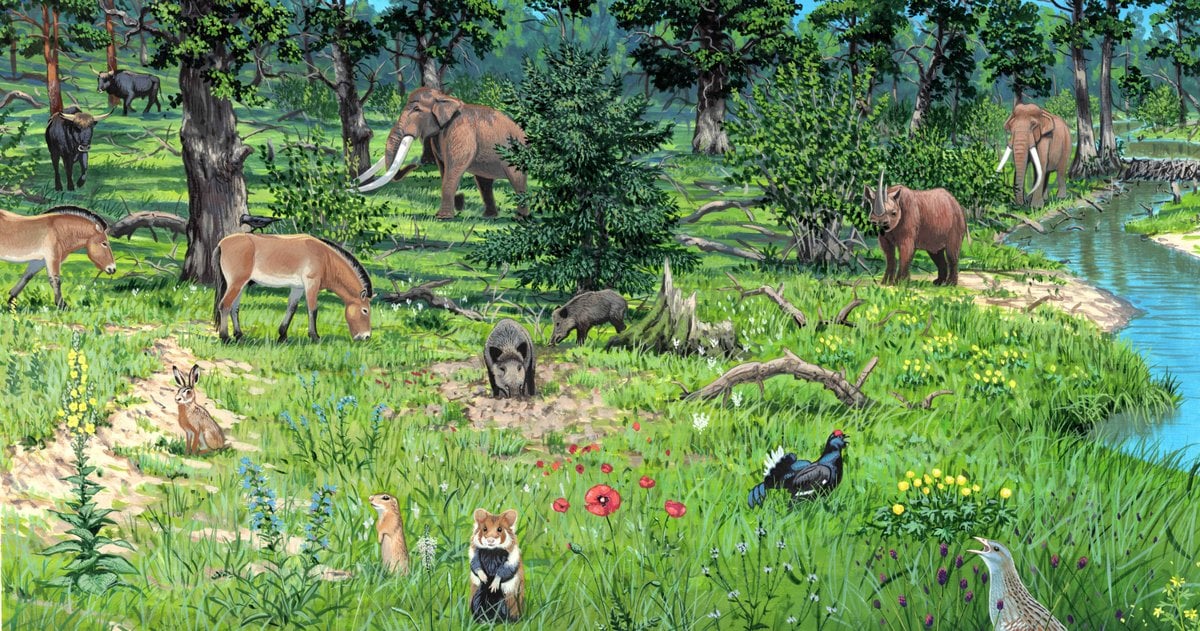 Neue Studie: Europas Urlandschaften waren Wald-Grasland-Mosaike