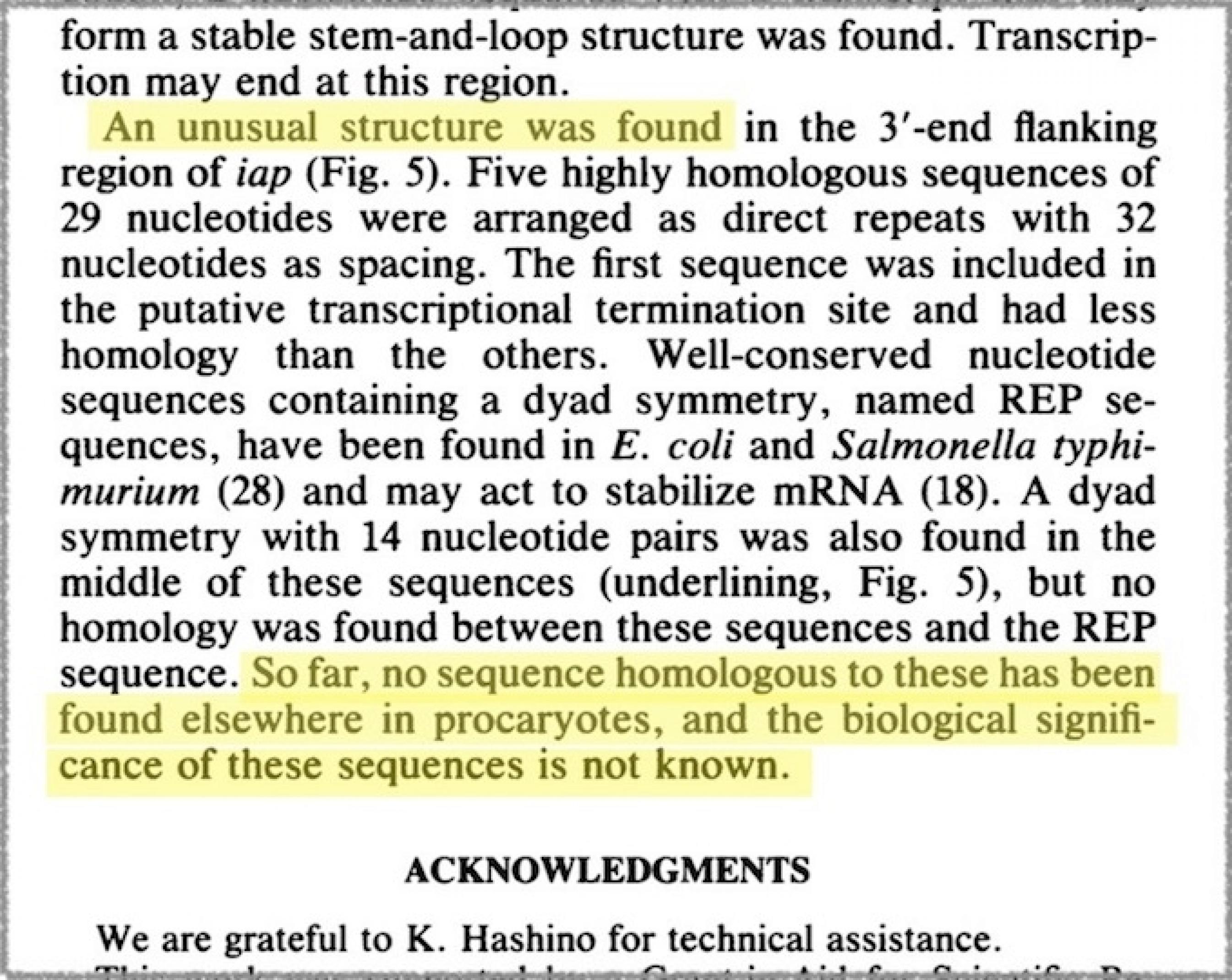 Der letzte Absatz im Artikel im Journal of Bacteriology.