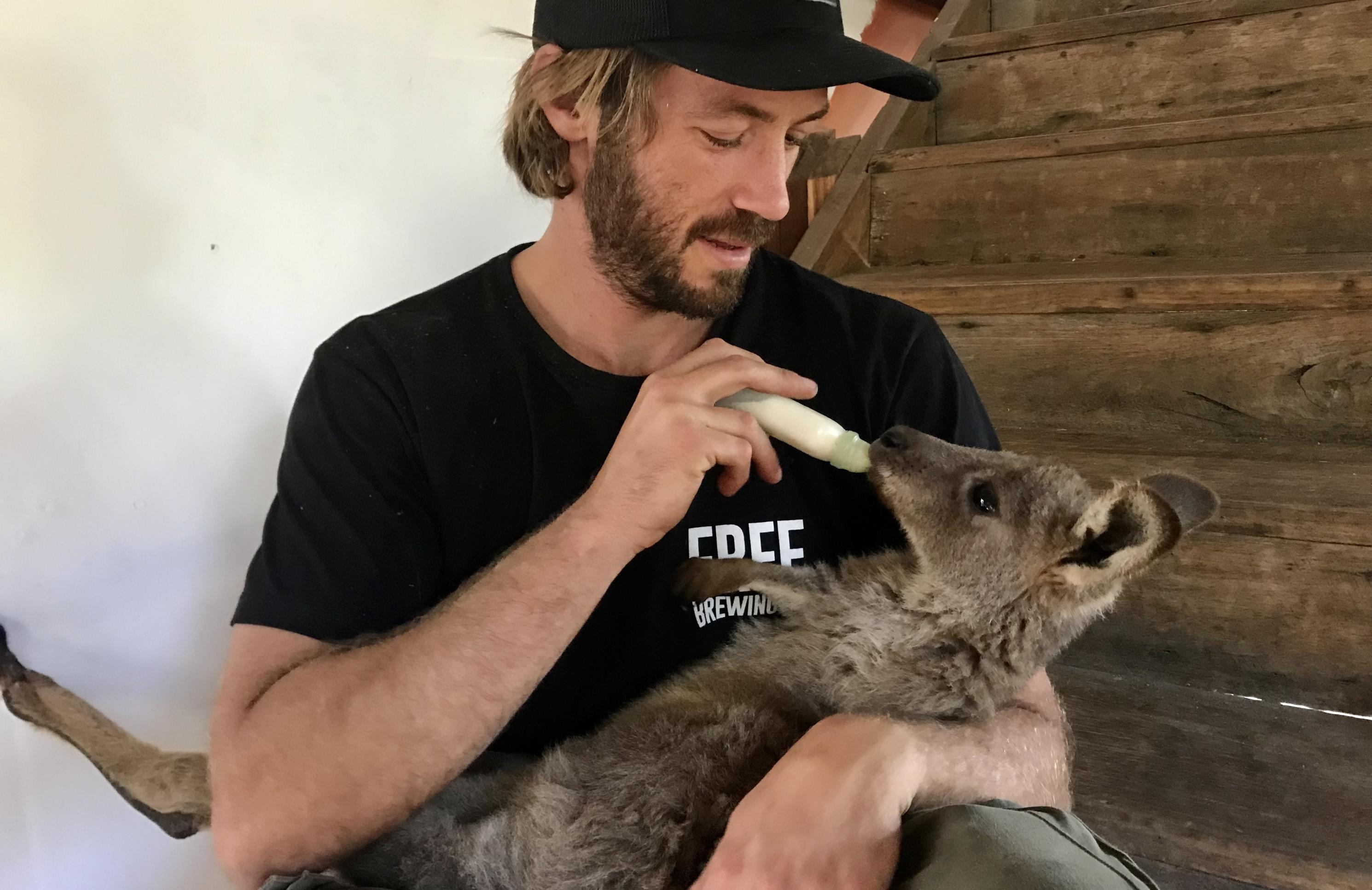 Aaron Shanks hält das Känguru-Joey Jo-Jo auf dem Schoß und füttert es aus einer Flasche mit Milchersatz.