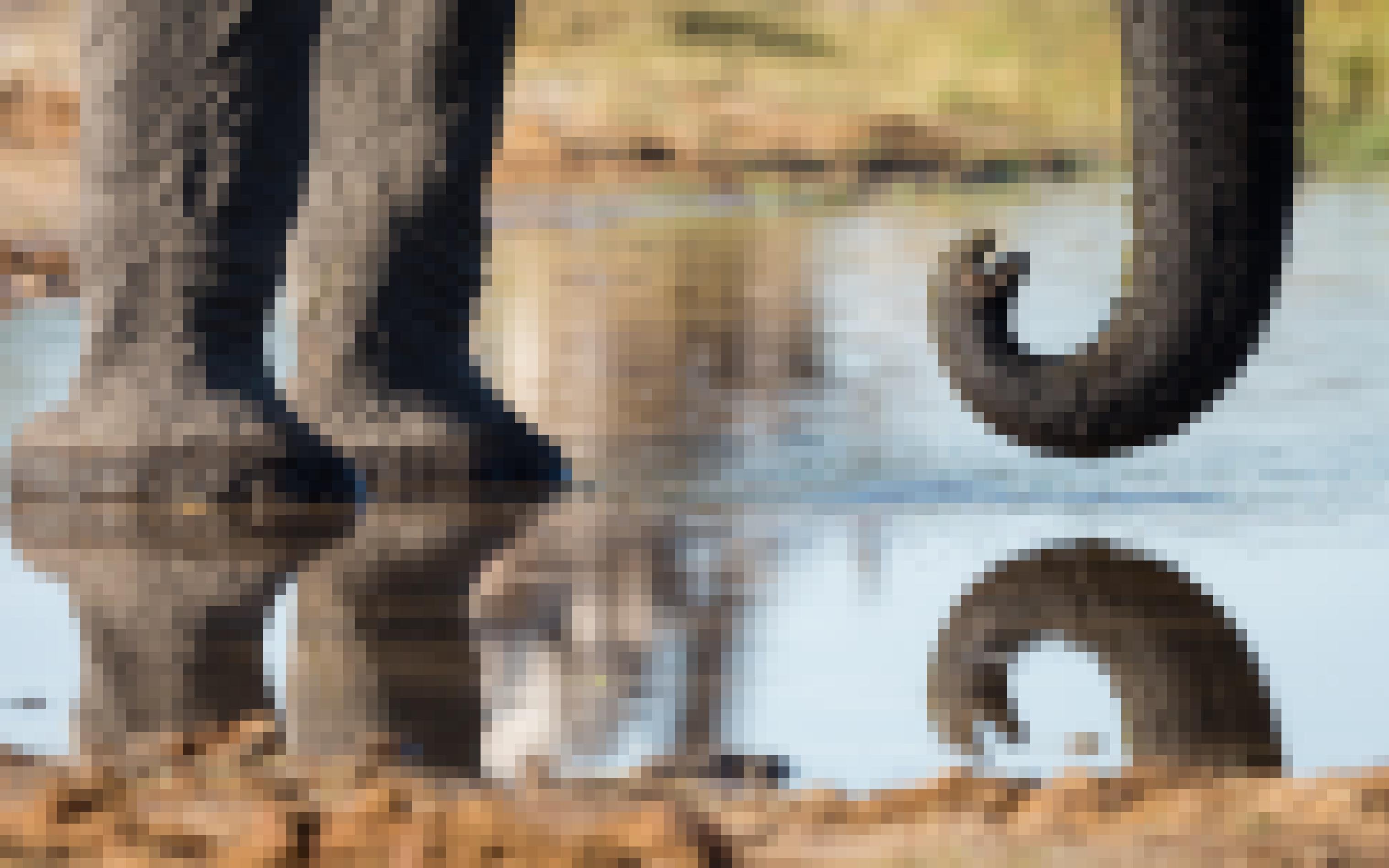 Elefant steht im heranströmenden Wasser im Okavango-Delta. Es sind nur die stämmigen Vorderbeine und ein Teil des hängenden Rüssels zu sehen.