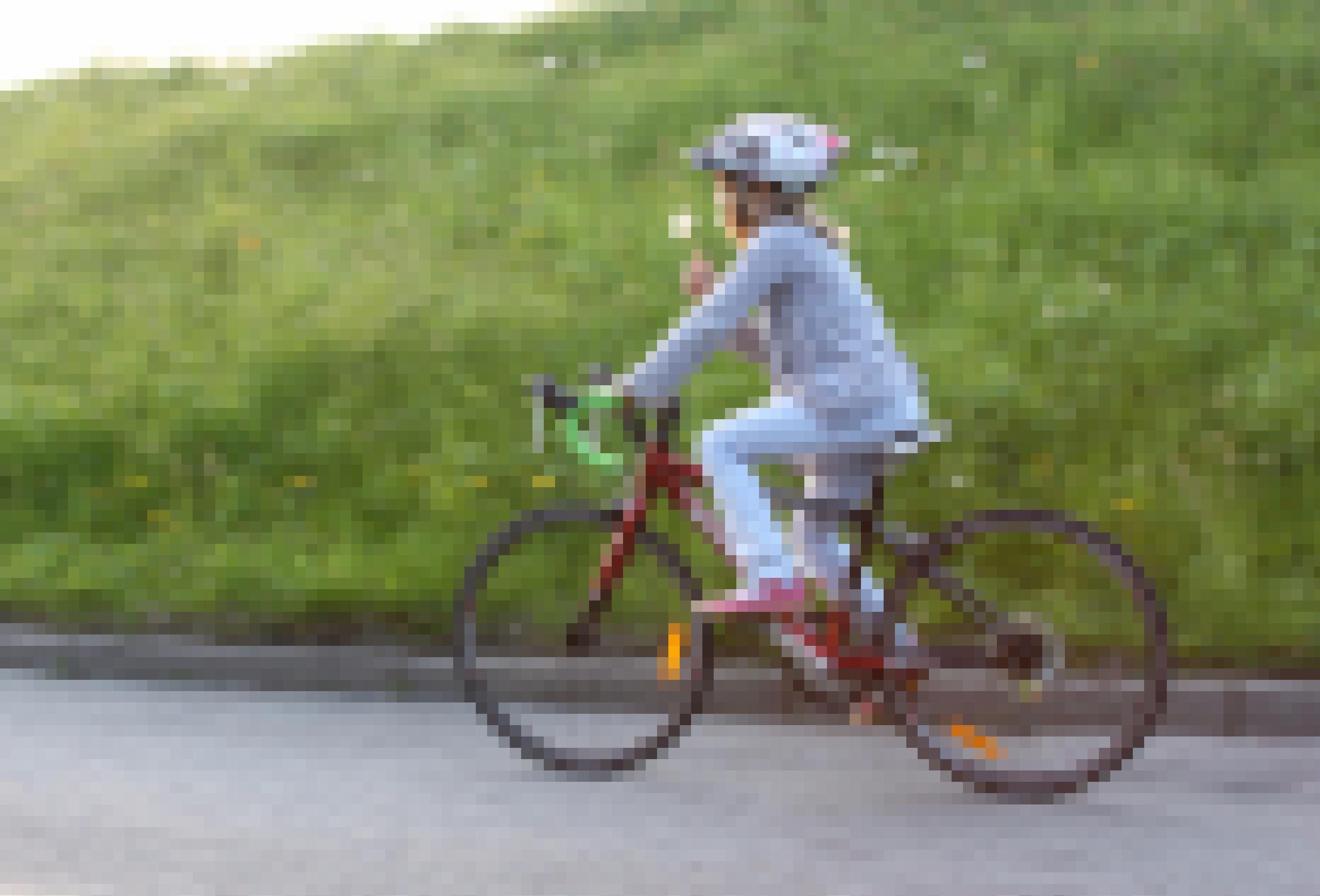 Ein Mädchen fährt auf einem roten Rennrad eine Deichstraße entlang. In der rechten Hand hält es eine Pusteblume