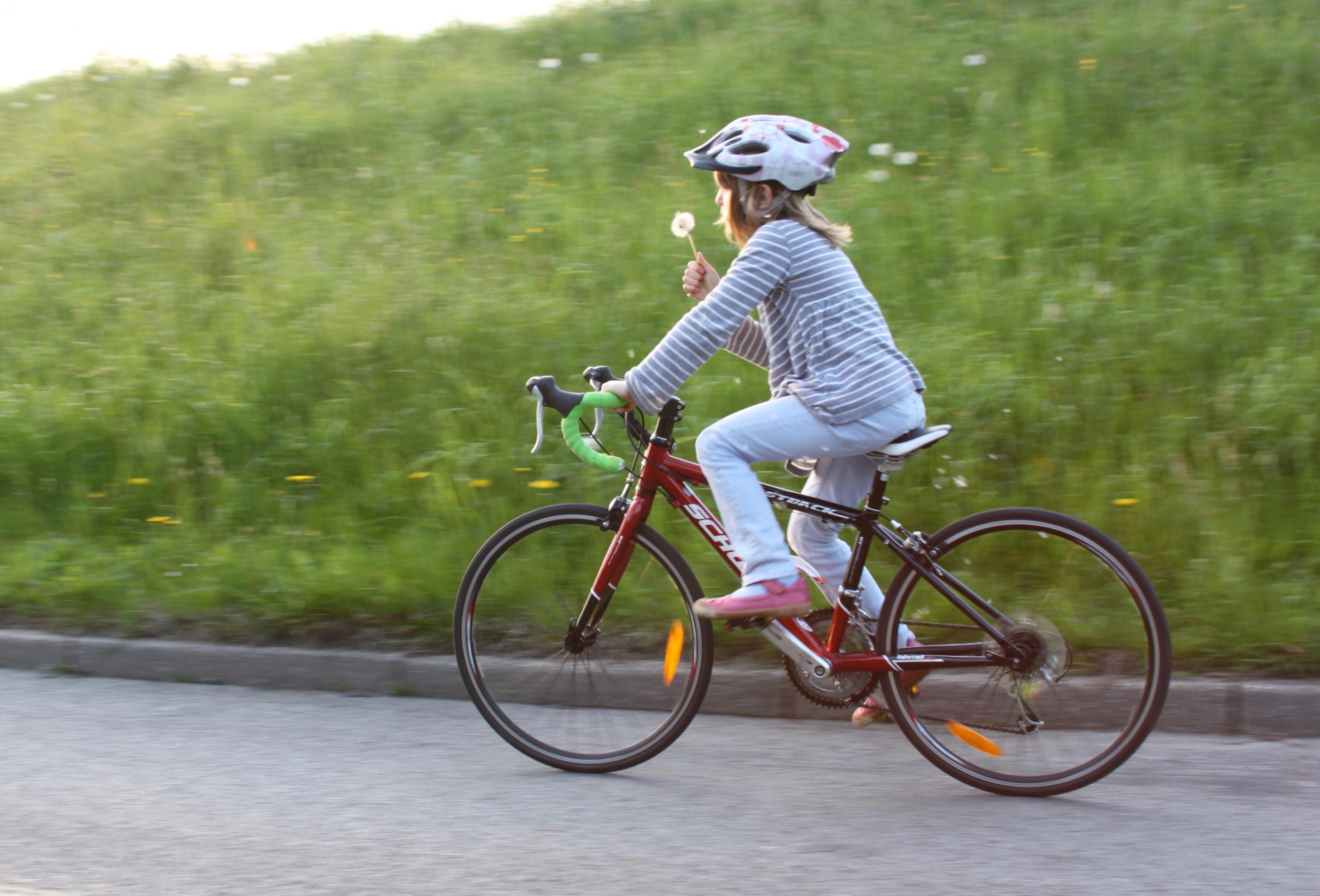 Ein Mädchen fährt auf einem roten Rennrad eine Deichstraße entlang. In der rechten Hand hält es eine Pusteblume