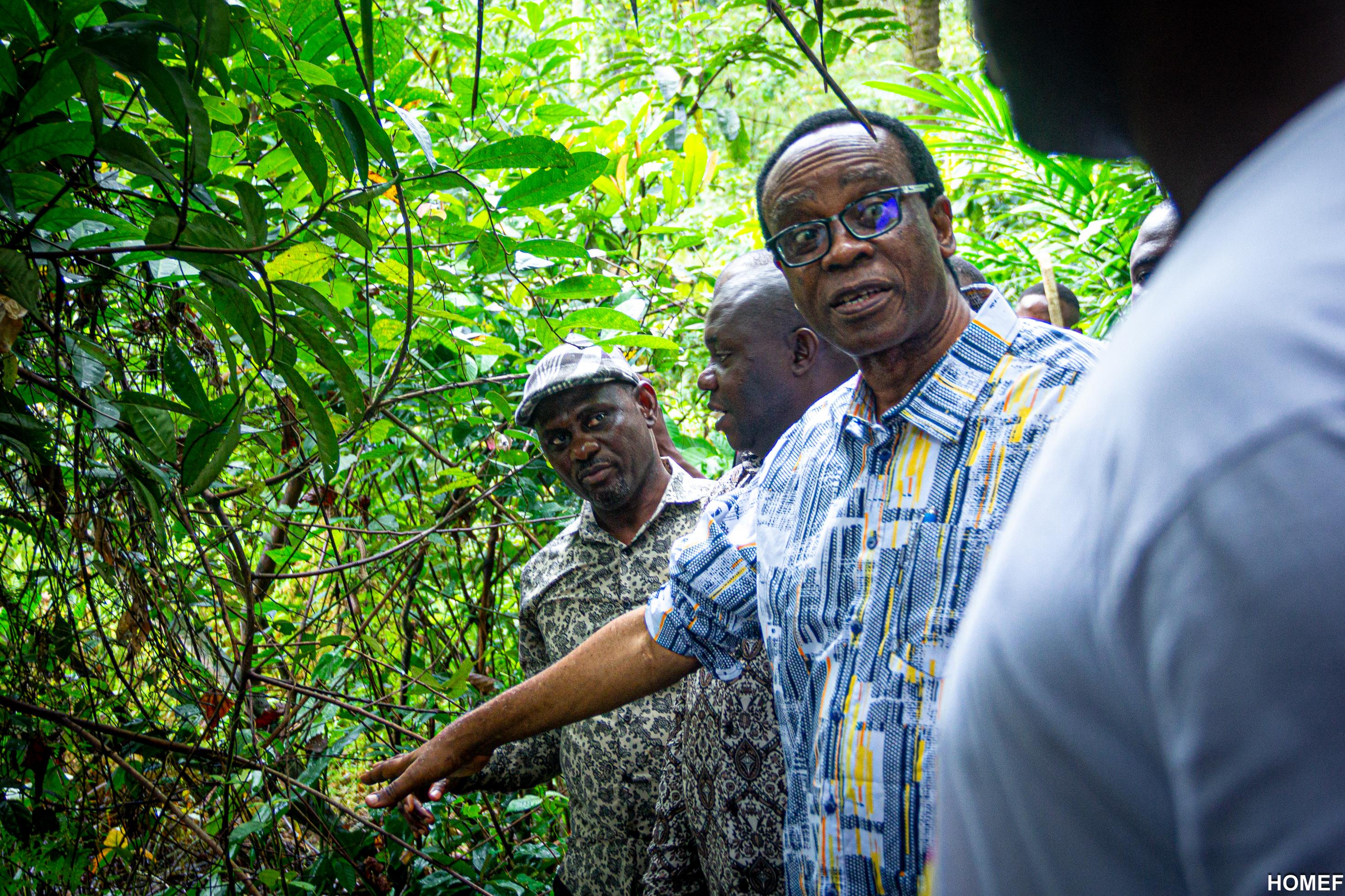 Ein schwarzer Mann mit gerunzelter Stirn im Urwald im Gespräch mit einer Gruppe Afrikaner.