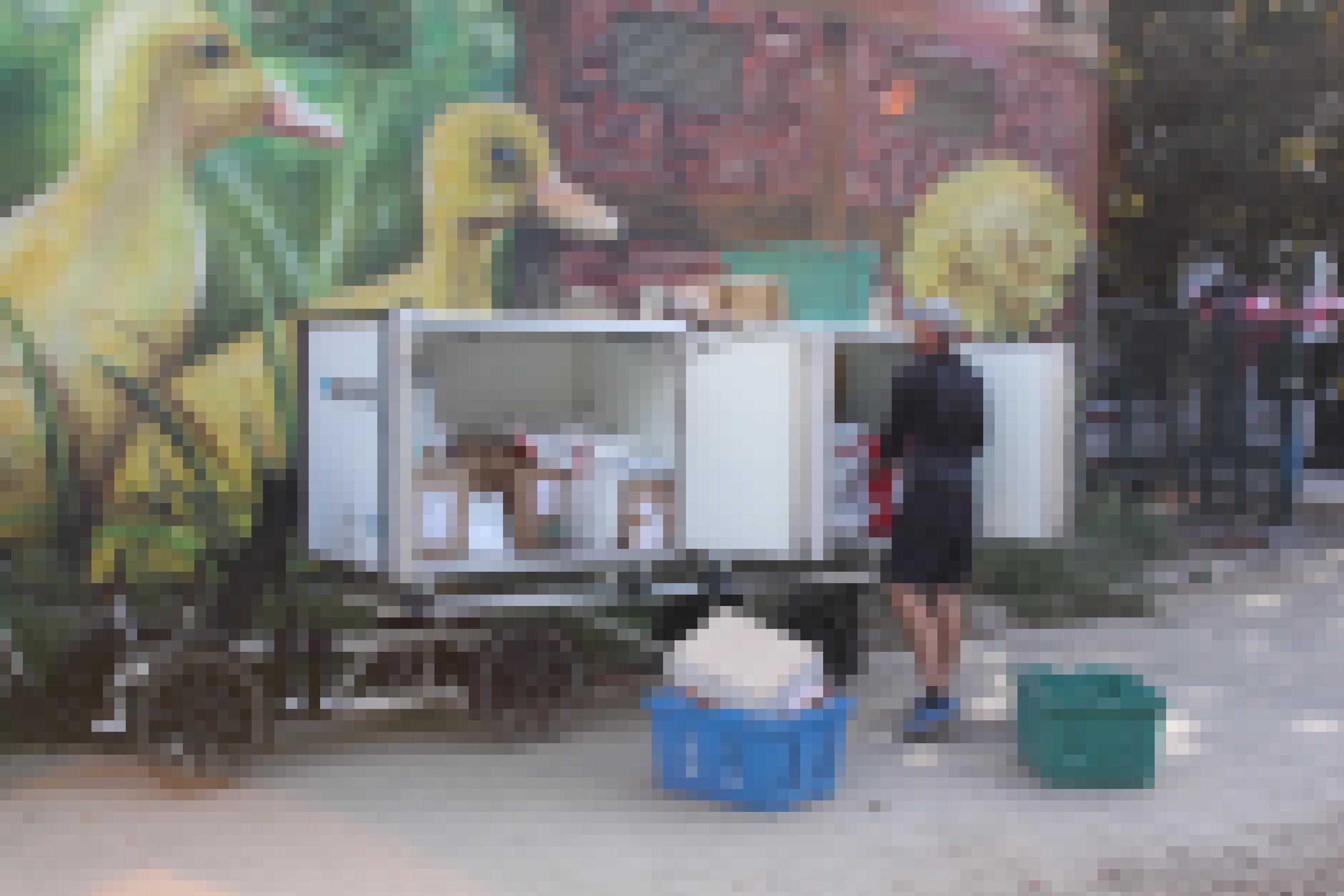 Vor einer mit Entenküken im Löwenzahn bemalten Hauswand stehen zwei offene Mini-Container auf Rädern. In ihnen sind Pakete. Ein Mann sortiert diese.