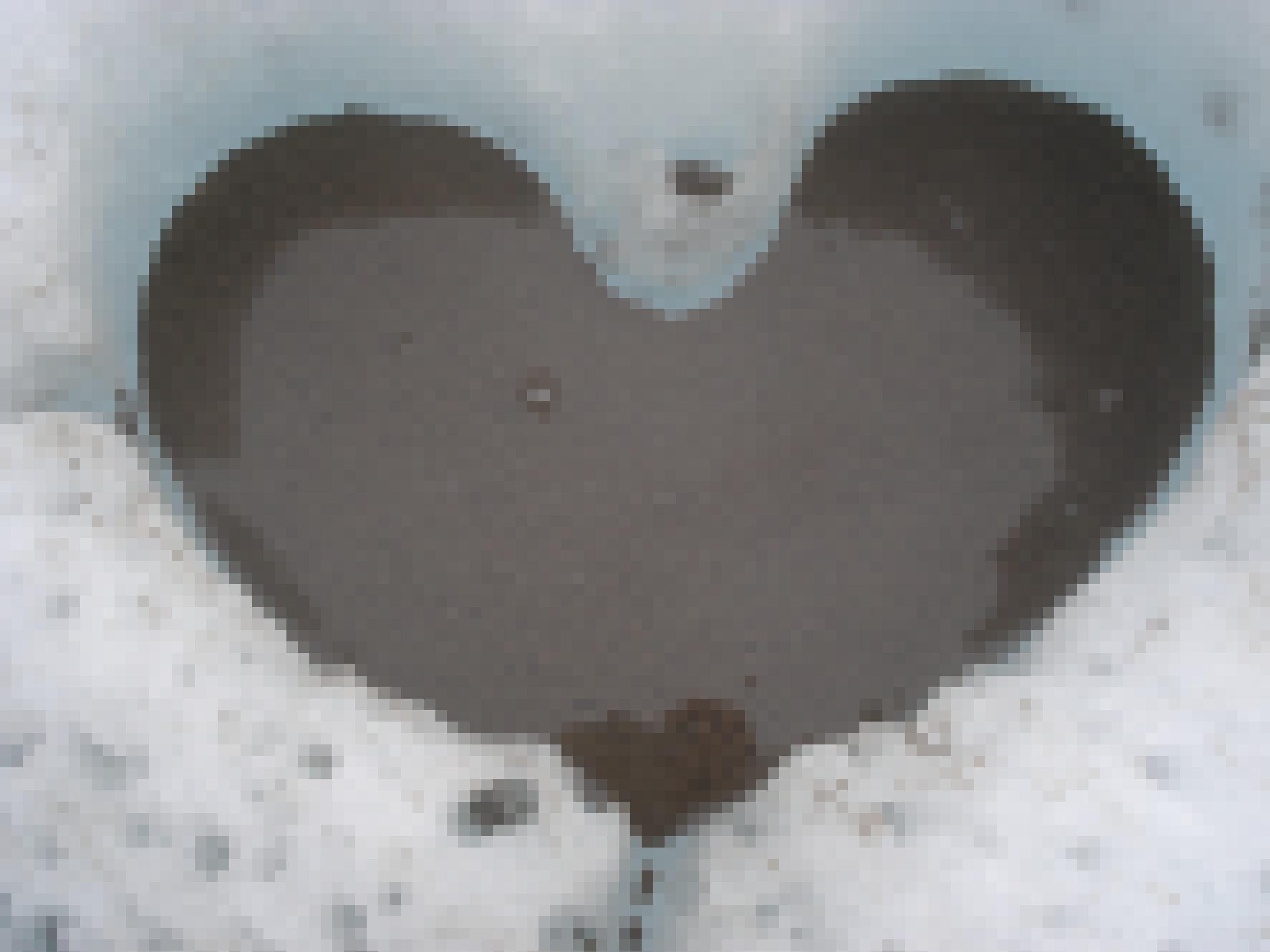 Herzförmige Schmelzvertiefung auf der Gletscheroberfläche, gefüllt mit Wasser und dunklen Krümeln, Kryokonit genannt.