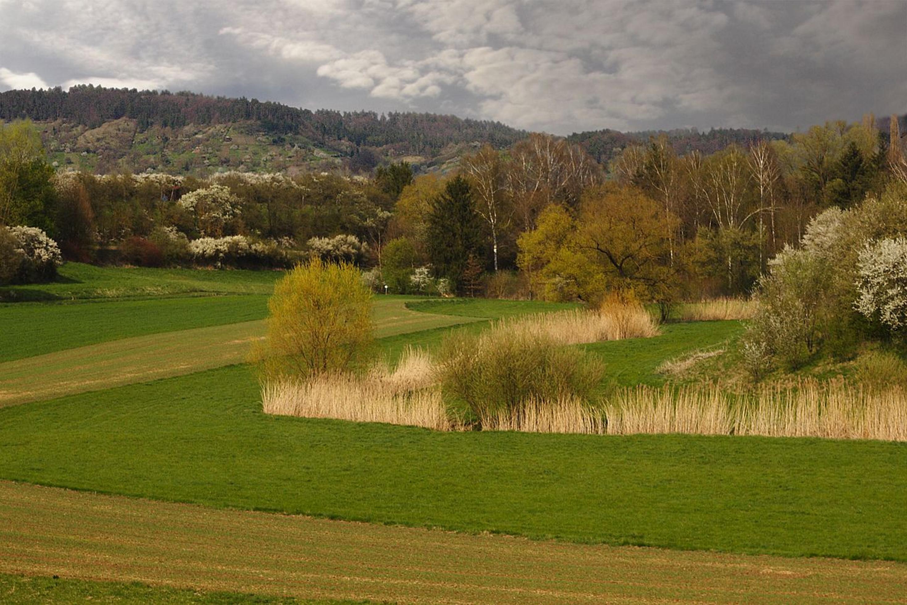 Das Ammertal bei Tübingen.