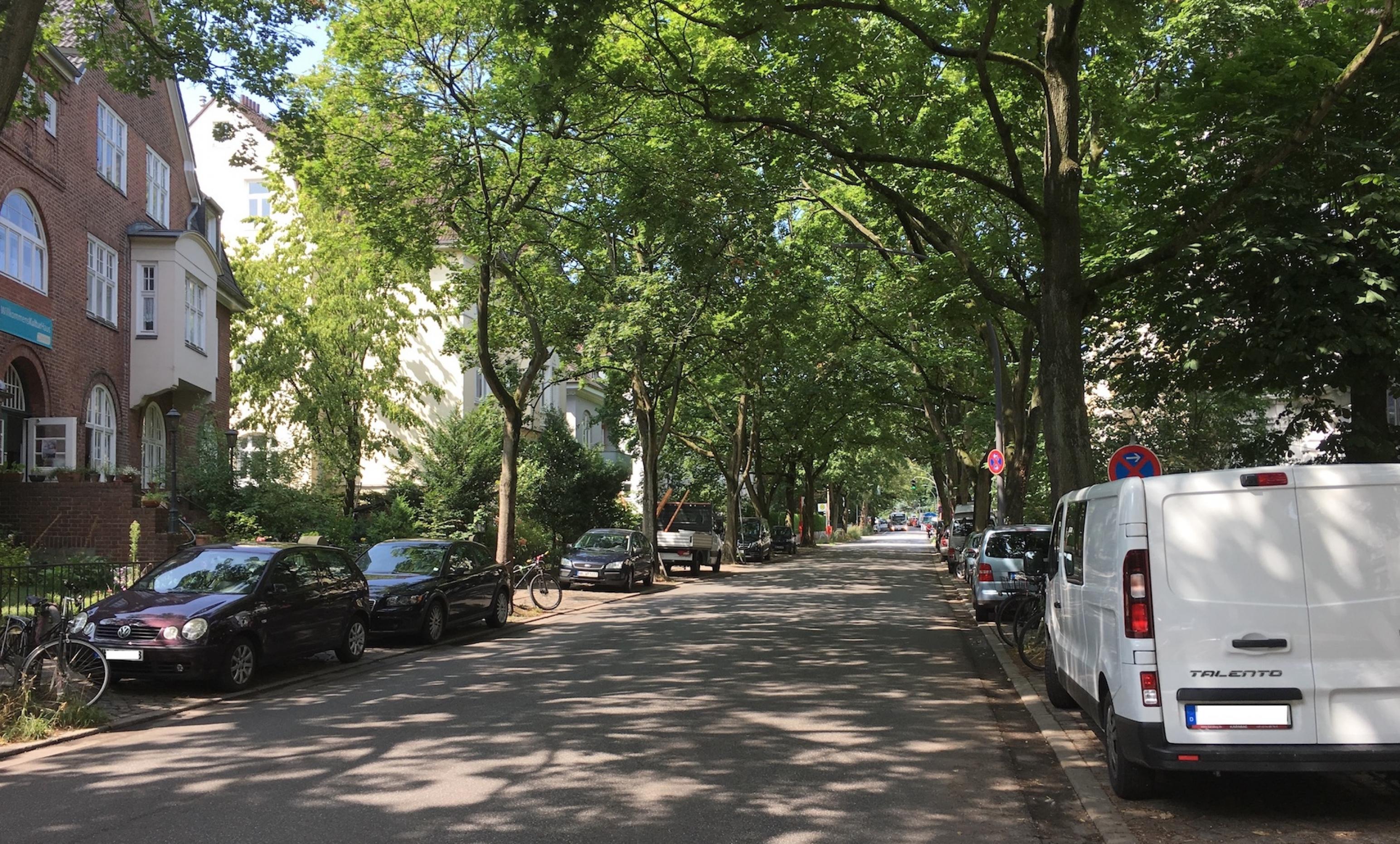 Ein Straße im Sonnenlicht, die Bäume auf beiden Seiten werfen ein Schattenmuster auf den Asphalt. Die Parkstreifen sind zwar voll, aber die Fahrbahnen sind leer, nur ganz hinten nähert sich ein Bus. Ein Ziel der Reform: weniger Stadtverkehr. Damit es in Zukunft nicht nur in den Sommerferien passiert, dass im Wesentlichen Radfahrer und der Stadtbus die Chaussee benutzen.