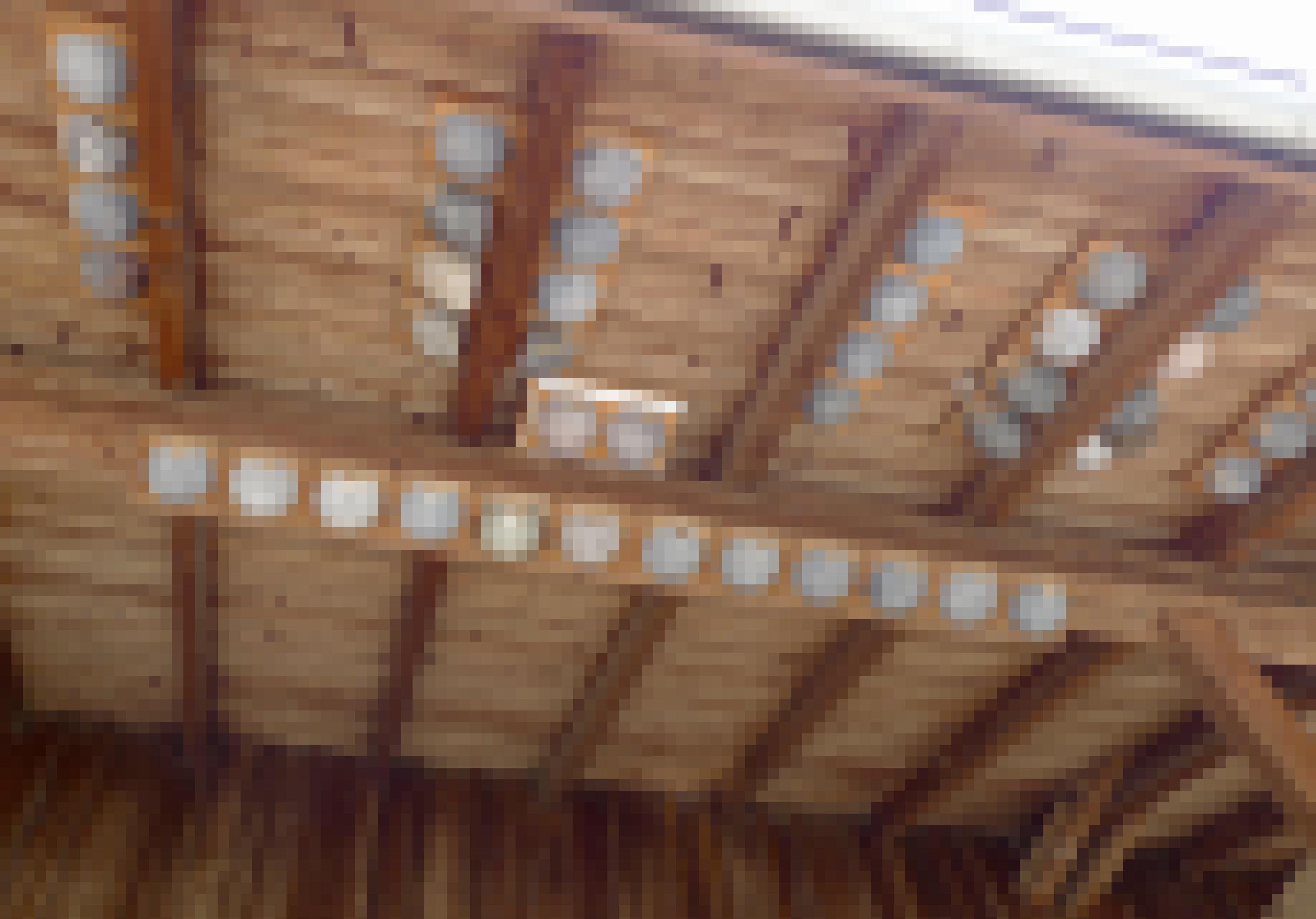 Unter dem Dachfirst des Stalls auf dem Hof von Andreas Aebi sind viele künstliche Mehlschwalbennester angebracht.