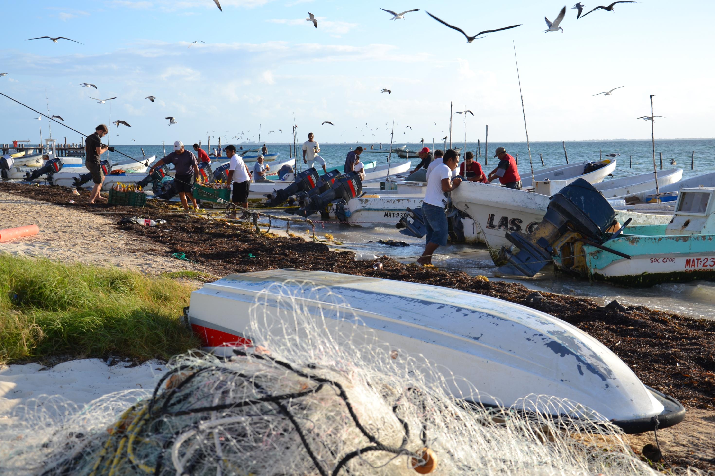 Viele Fischerboote im Morgenlicht am Strand. Fischer entladen Kisten voller Fisch.