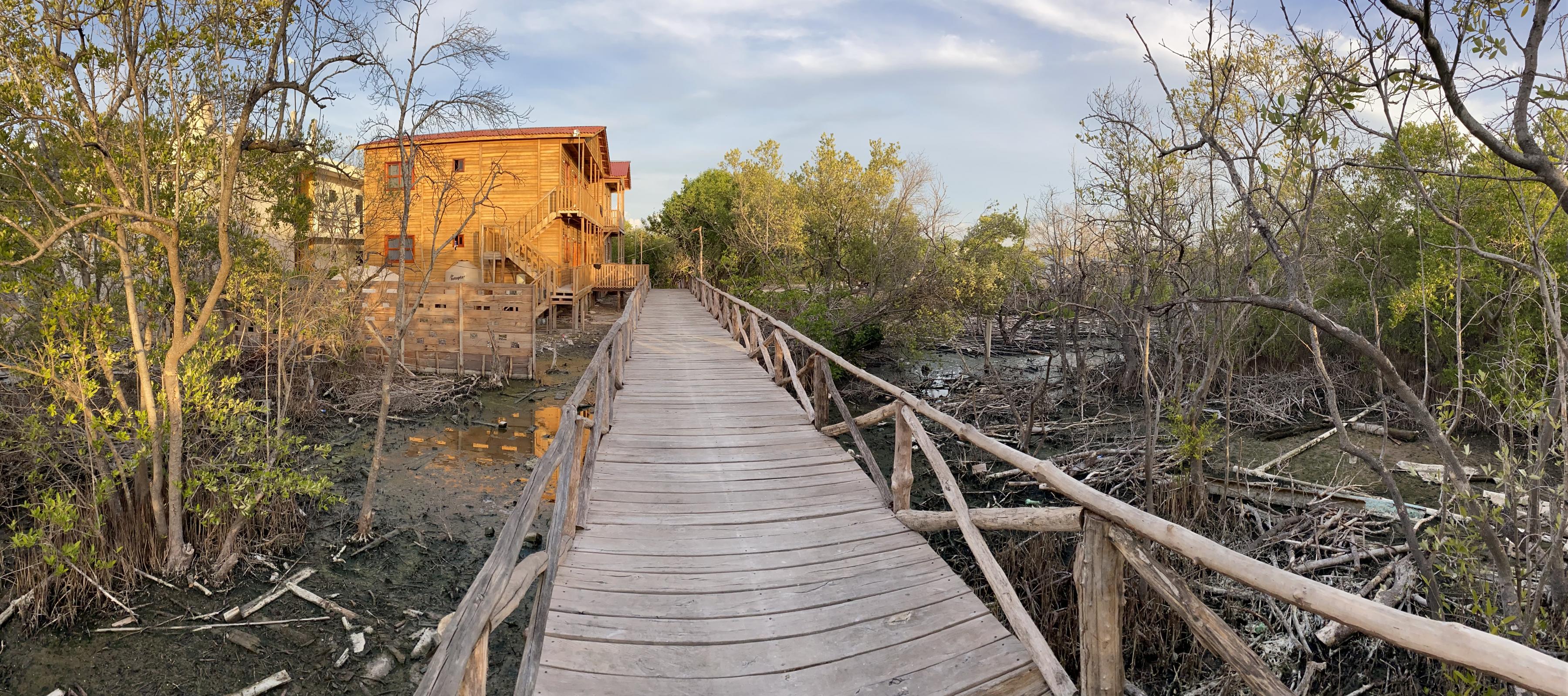 Eine Brücke, rechts zerstörte Mangroven, links ein Holzgebäude