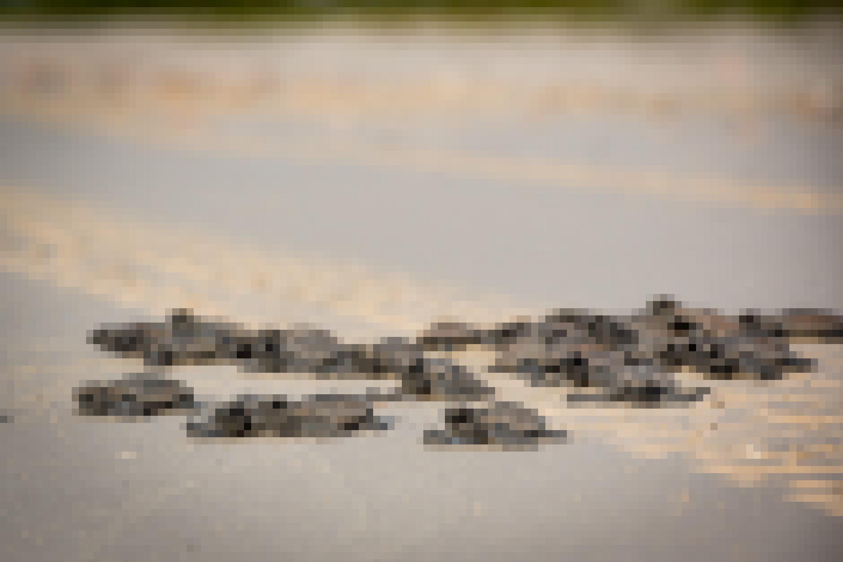 Frisch geschlüpfte Mini-Schildkröten kämpfen sich durch hellen Sand.