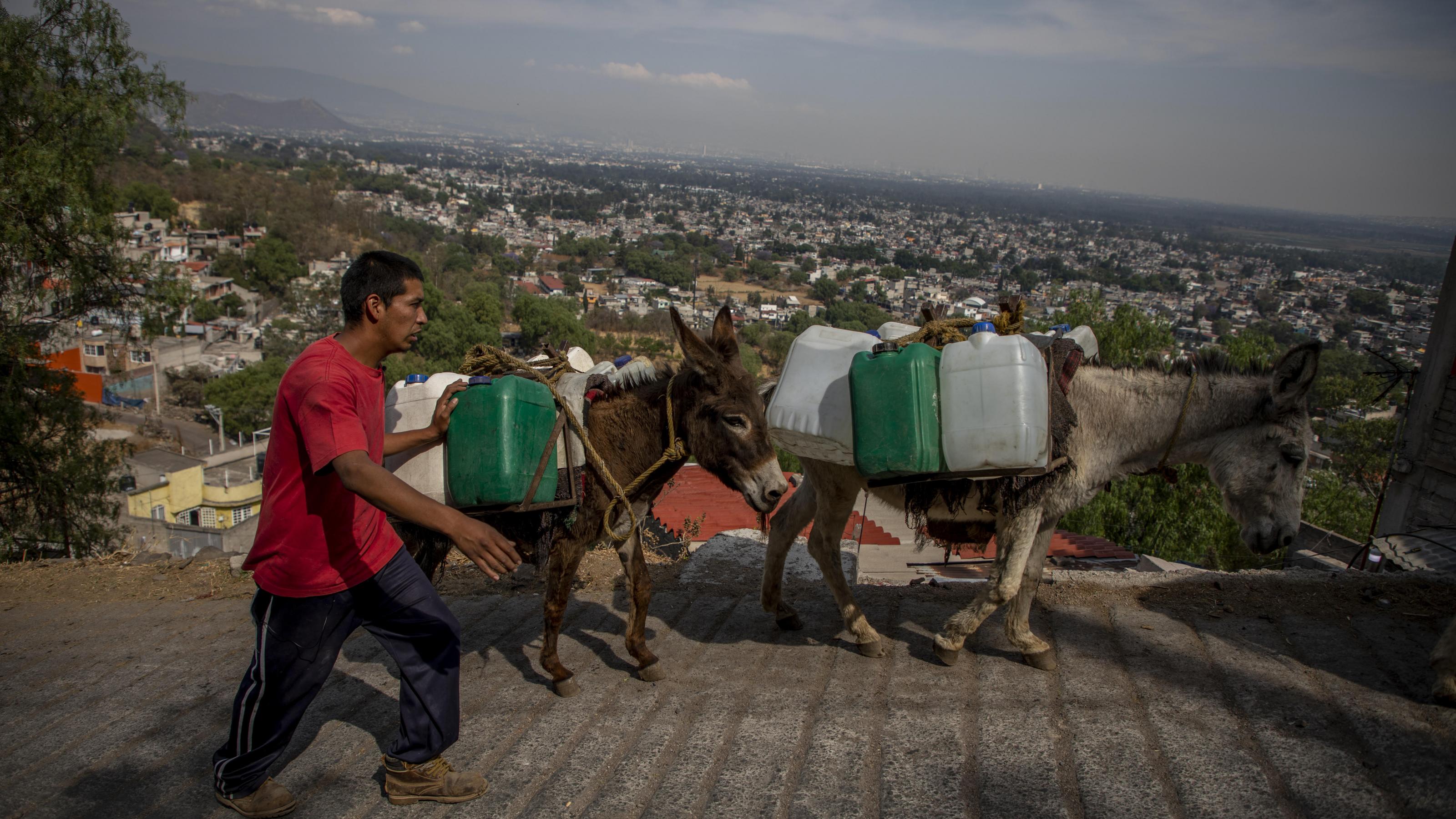 Felix Villeda Rivera geht neben Eseln, die Wasserkanister tragen. Seit Wochen igibt es in seinem Stadtteil kaum noch Wasser. Santa Cruz Acalpixca en Xochimilco, südlich der Hauptstadt, unterbrochen wurde. Der Mangel an Trinkwasser hat Einwohner des Dorfes dazu bewegt, die Versorgung mit Kanistern auf Eseln zu decken.