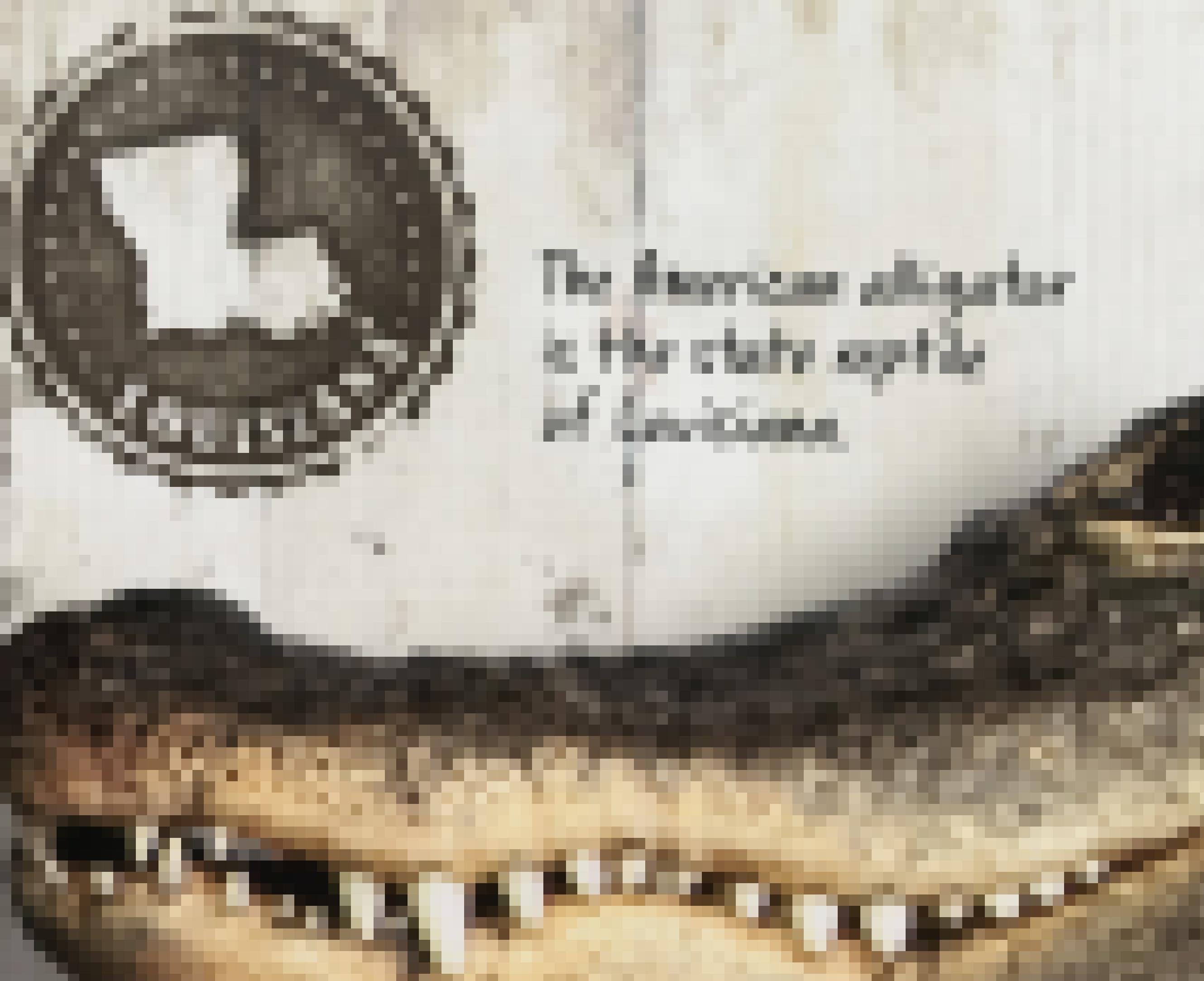 Auf Fahnen und Stempeln: der Alligator ist das Wappentier von Louisiana