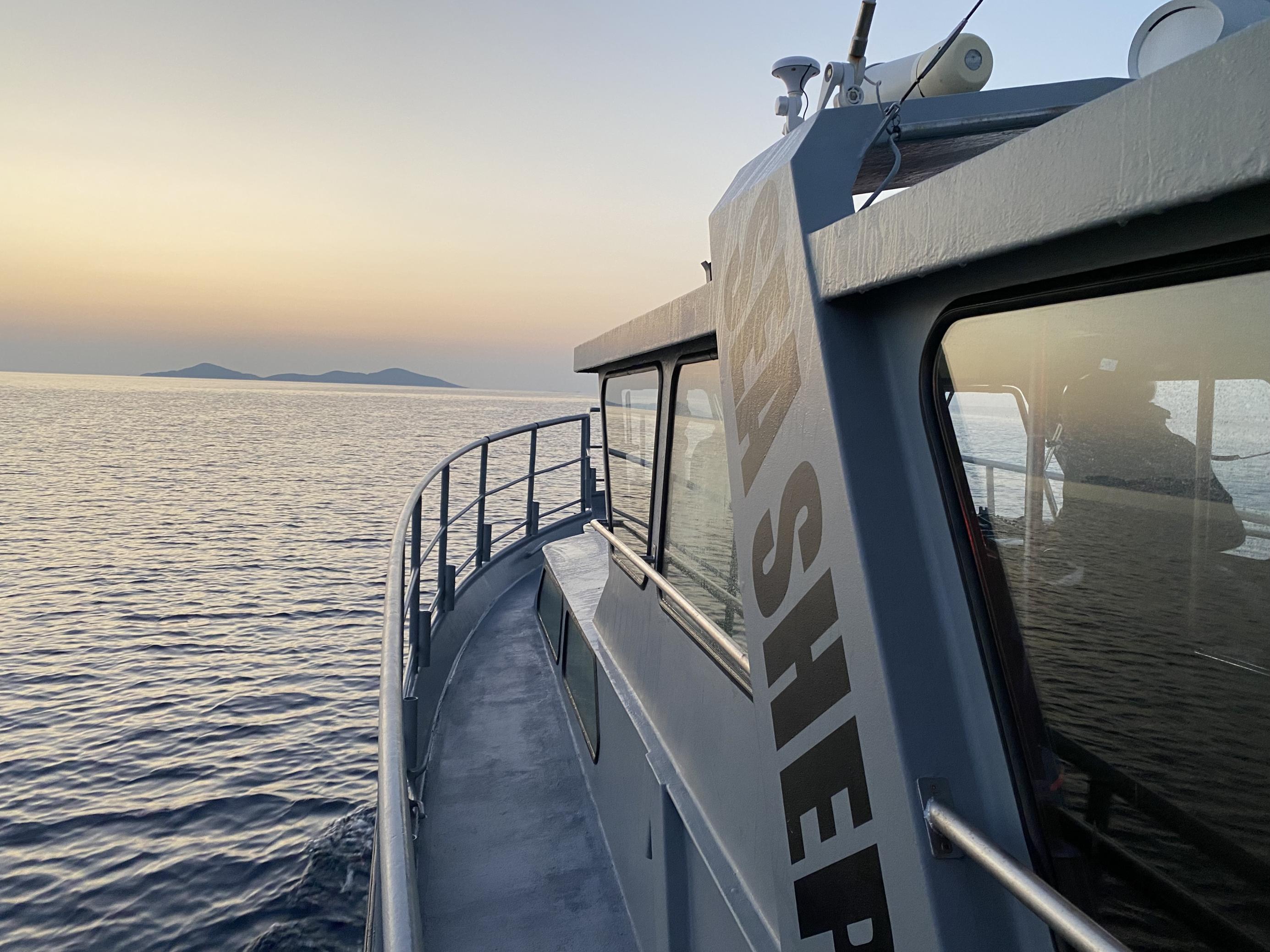 Graues Schiff fährt in den Sonnenuntergang. Der Schriftzug „Sea Shepherd“ ist halb auf dem Schiff zu lesen