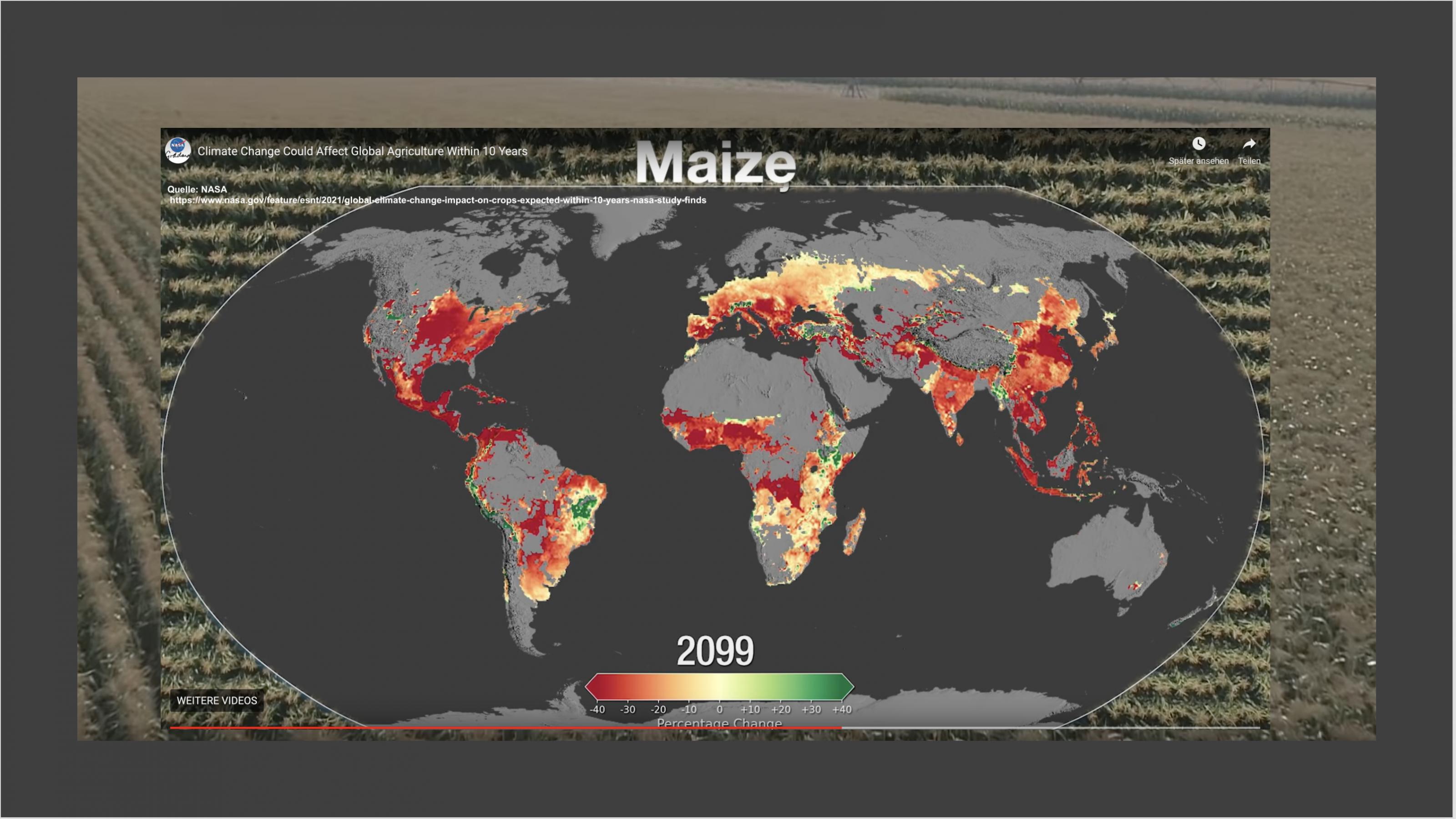 Bearbeiteter Screenshot aus einem NASA-Video, das Ernteeinbußen von Mais im Jahr 2099 zeigt. Weite Teile Asiens, Afrikas, Südamerikas aber auch der Süden der USA sind rot gefärbt, was starke Verluste bedeutet.