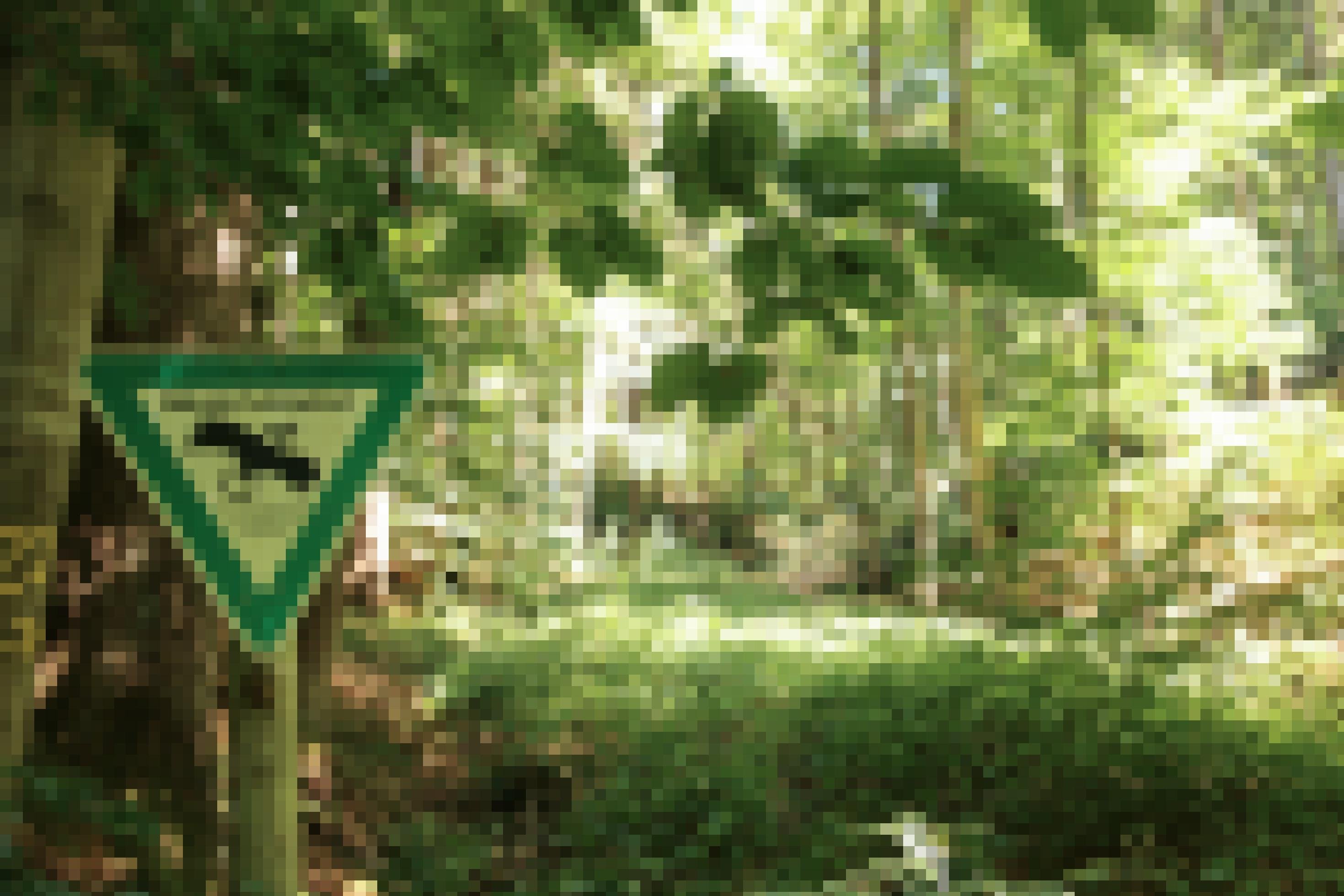 Wald mit Hinweisschild: Naturschutzgebiet