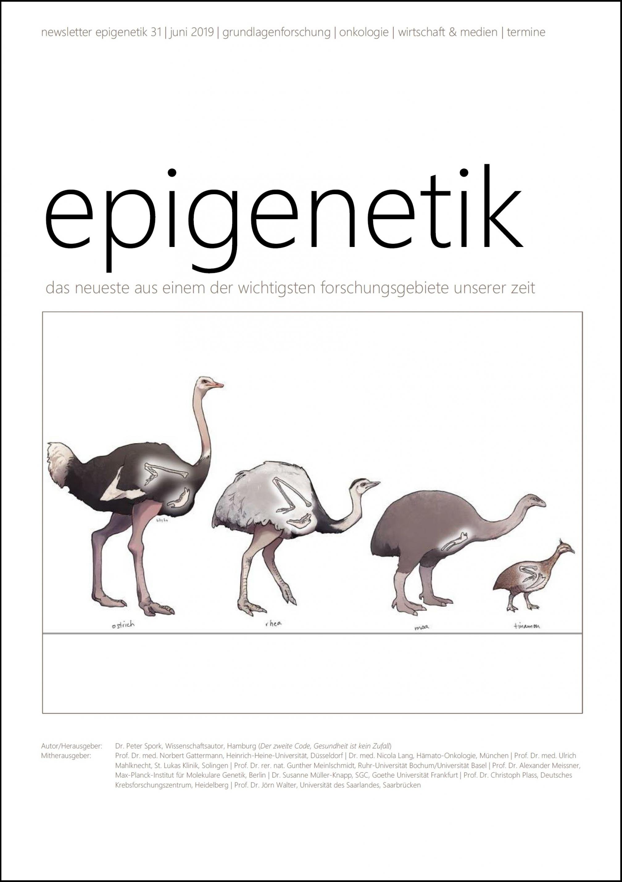 Newsletter Epigenetik 31 / Juni 2019 / das neueste aus einem der wichtigsten forschungsgebiete unserer zeit