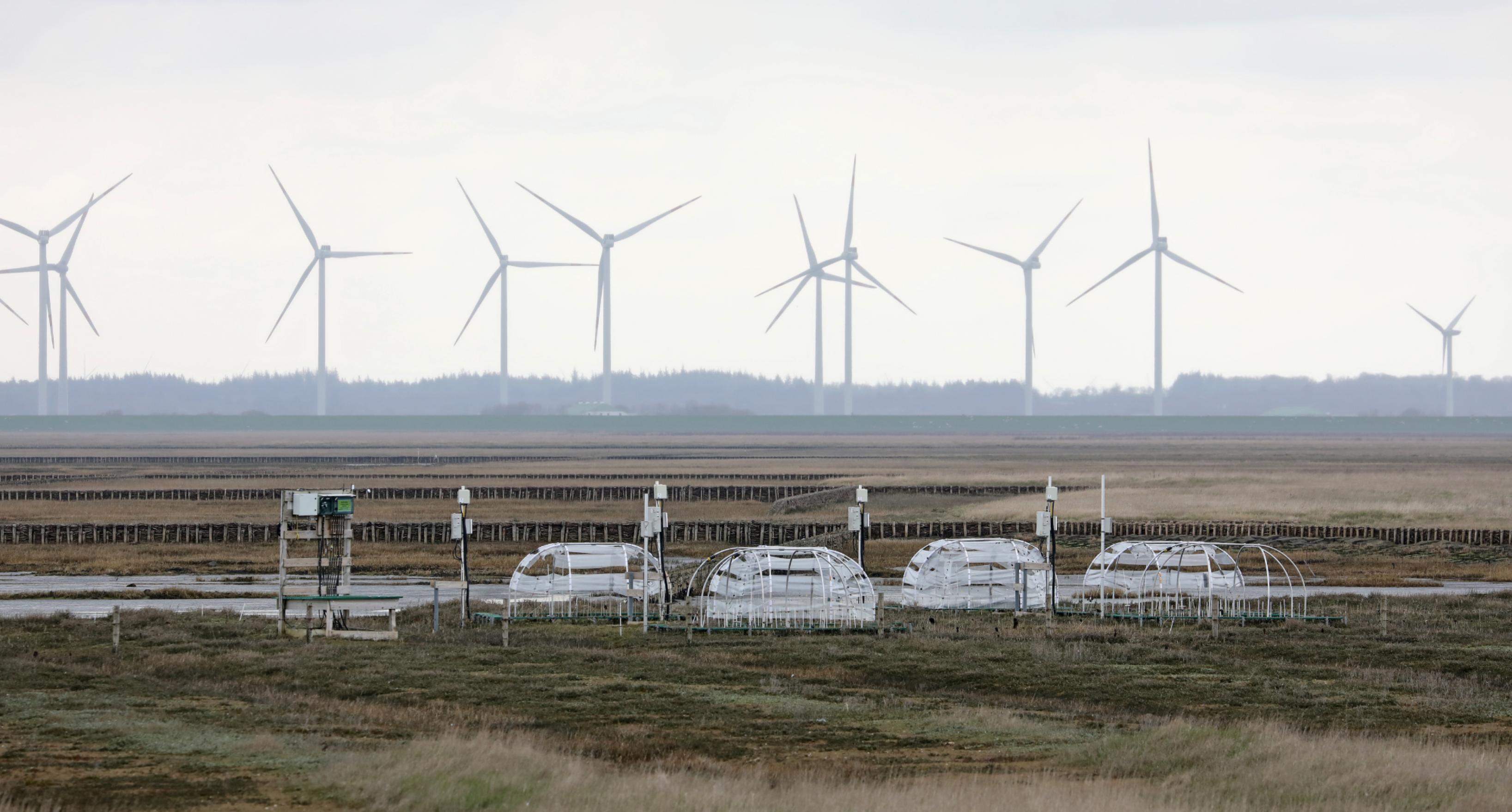 Messtation mit treibhausartigen Glasbauten im Wattenmeer