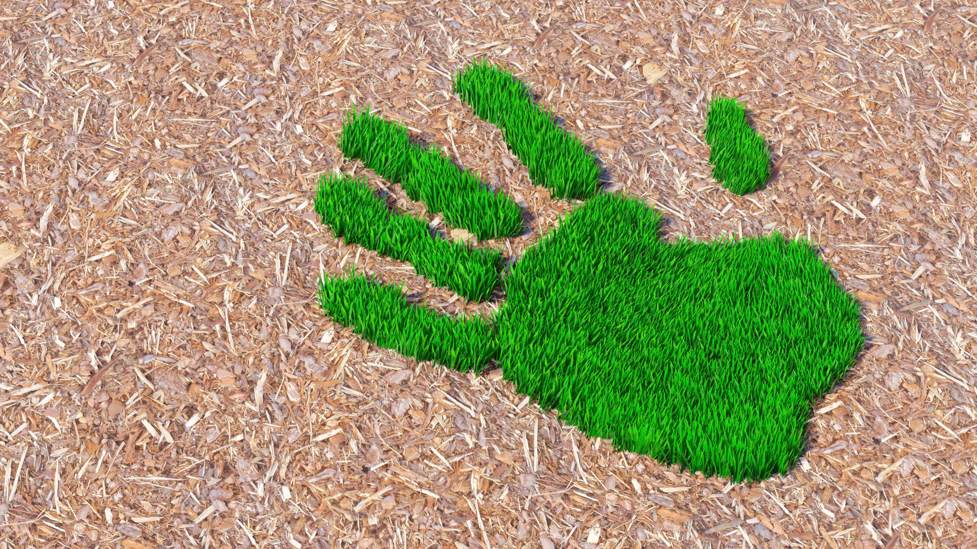 Eine Hand aus Gras ist auf Holzspänen zu sehen.