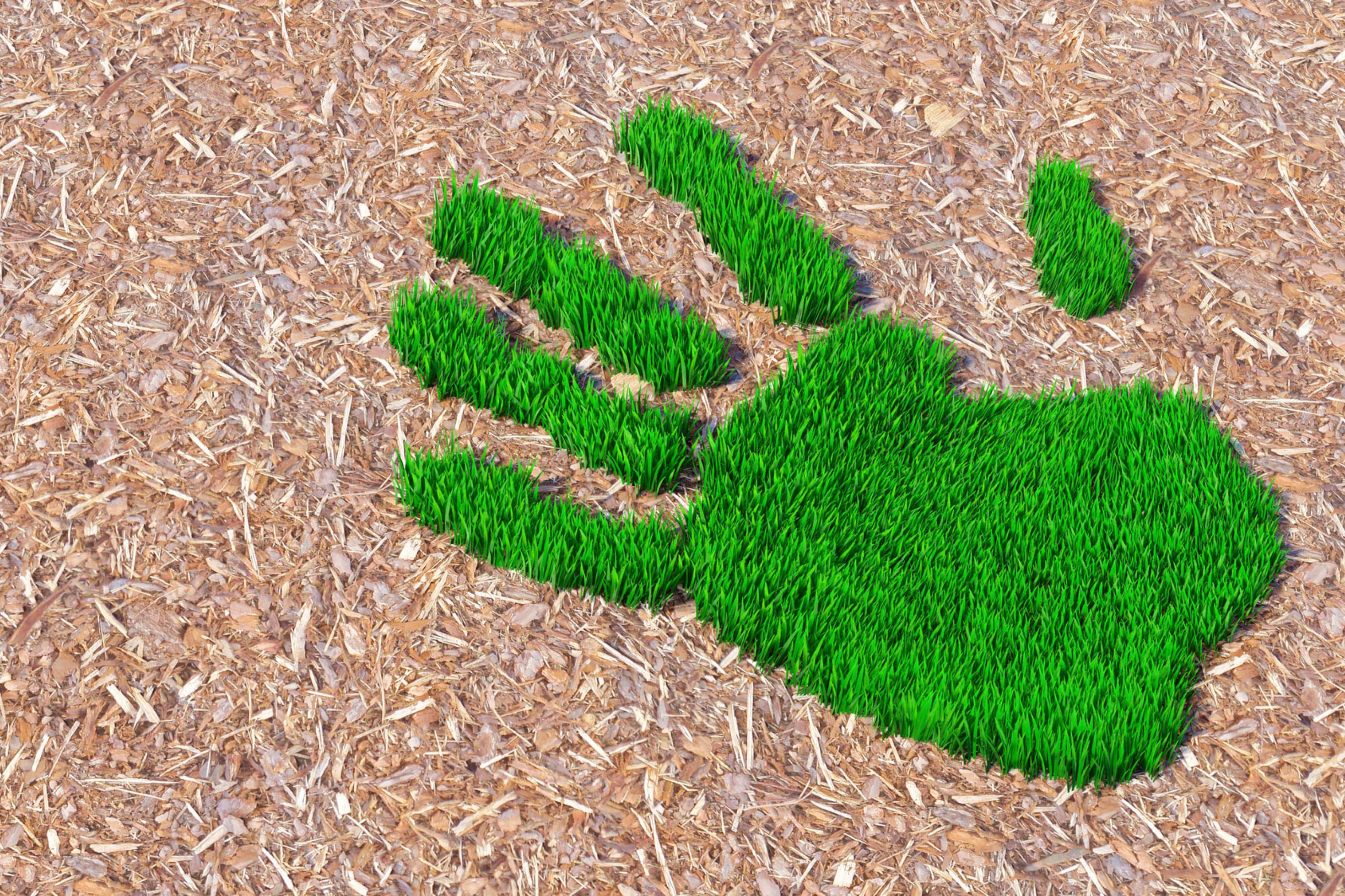 Eine Hand aus Gras ist auf Holzspänen zu sehen.