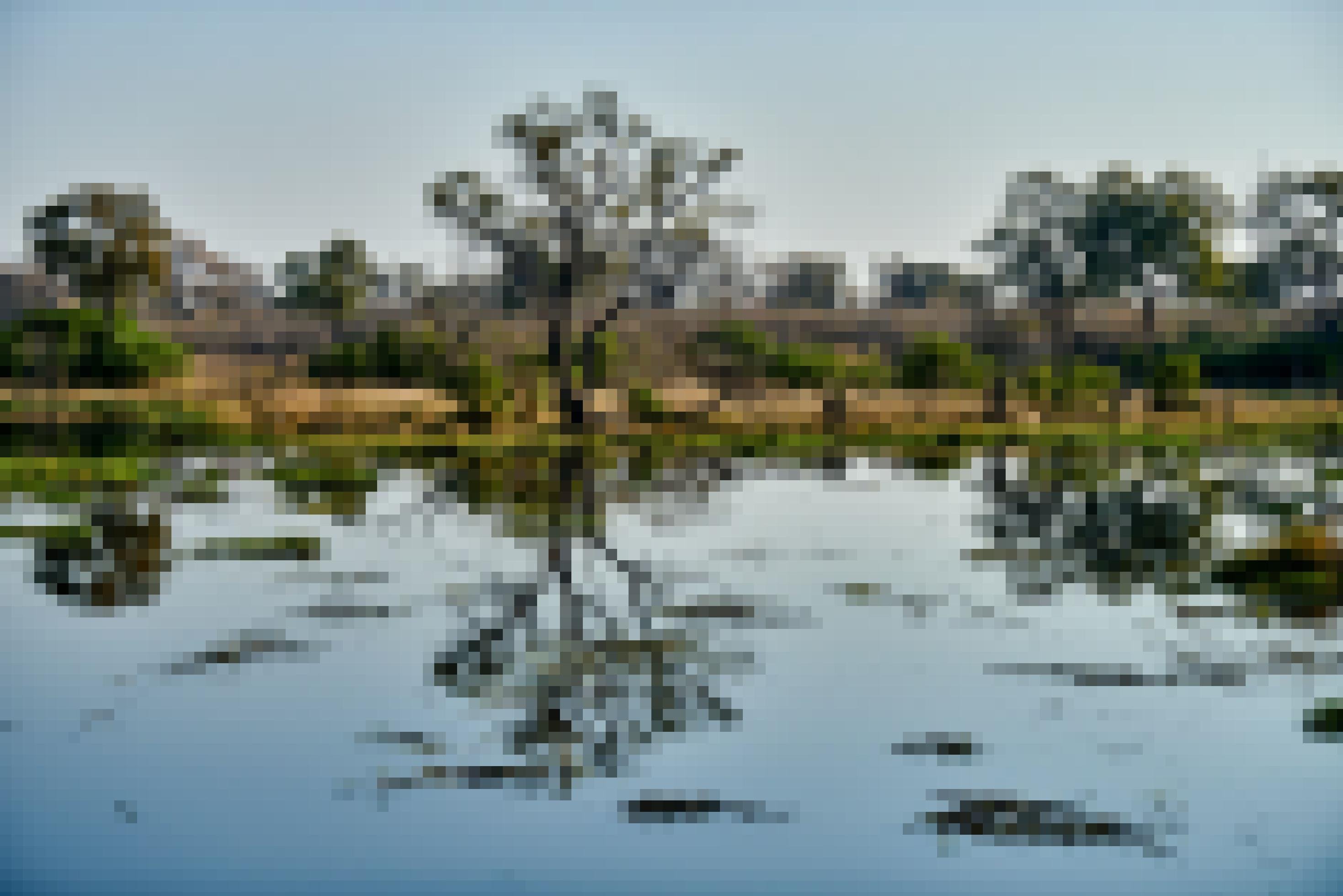 Die Bäume am Ufer spiegeln sich auf der Oberfläche der Wasserstelle