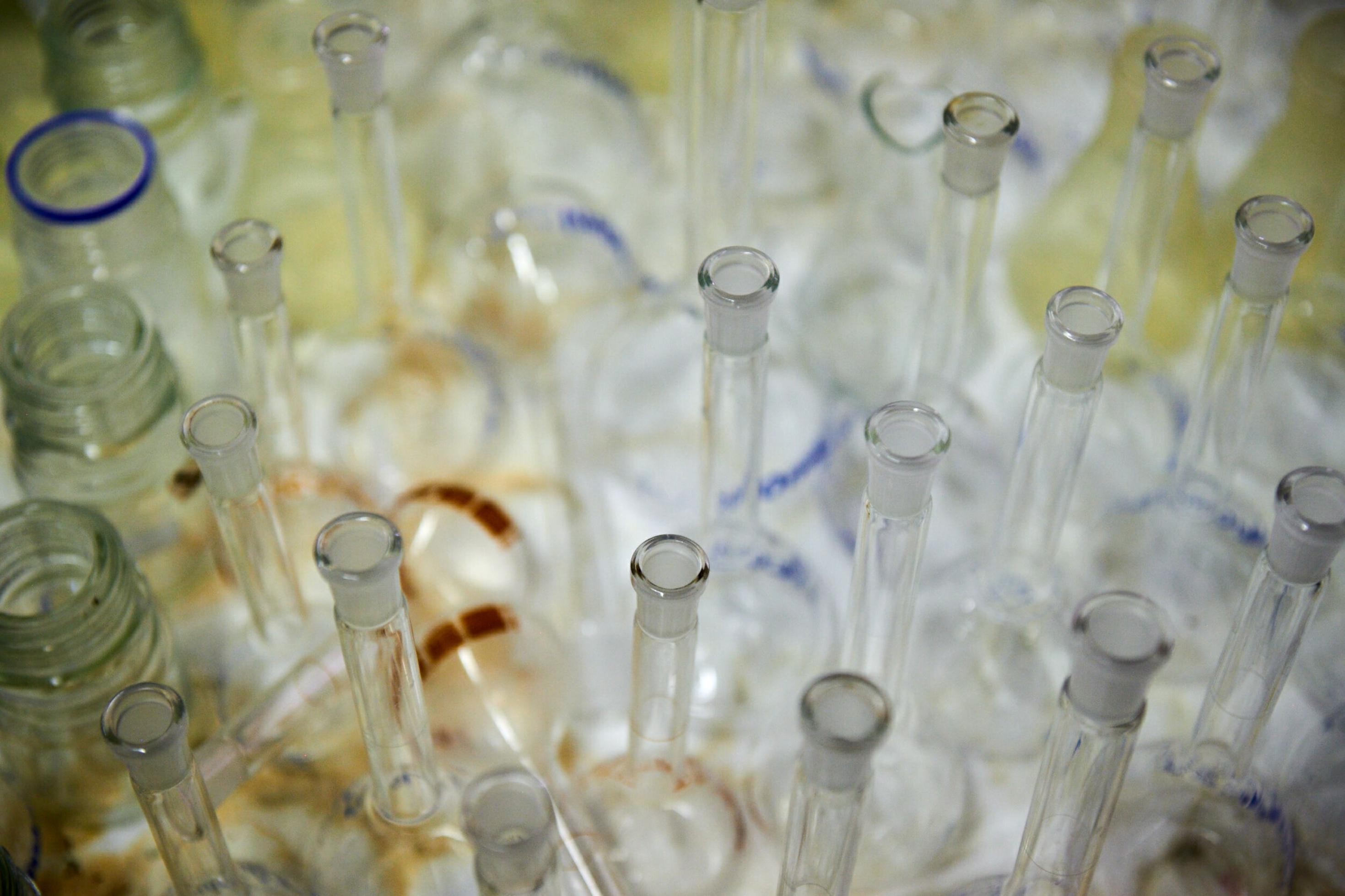 Die Glas-Röhrchen stehen im Labor eng beieinander