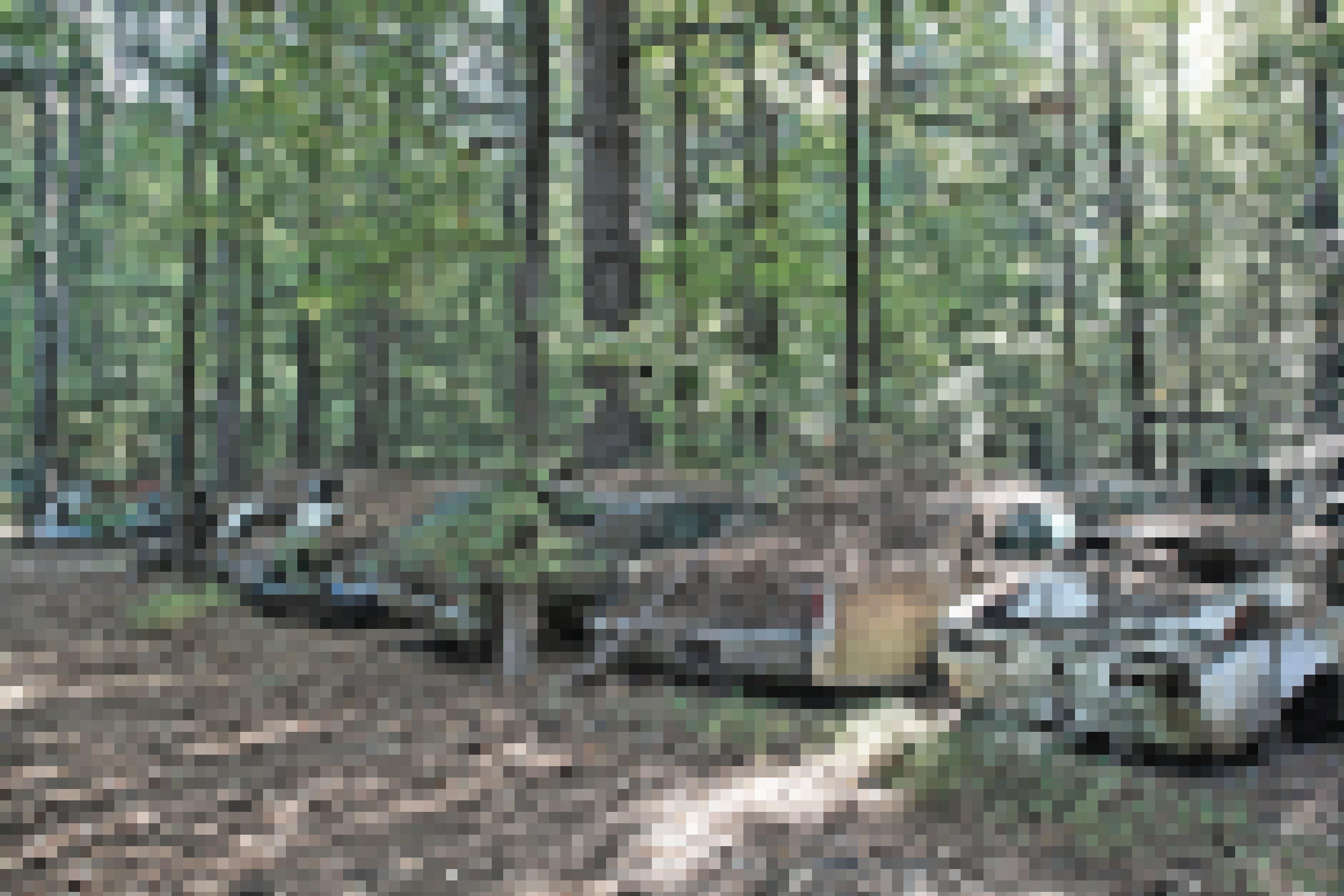 Mehrere Schrottautos im Wald