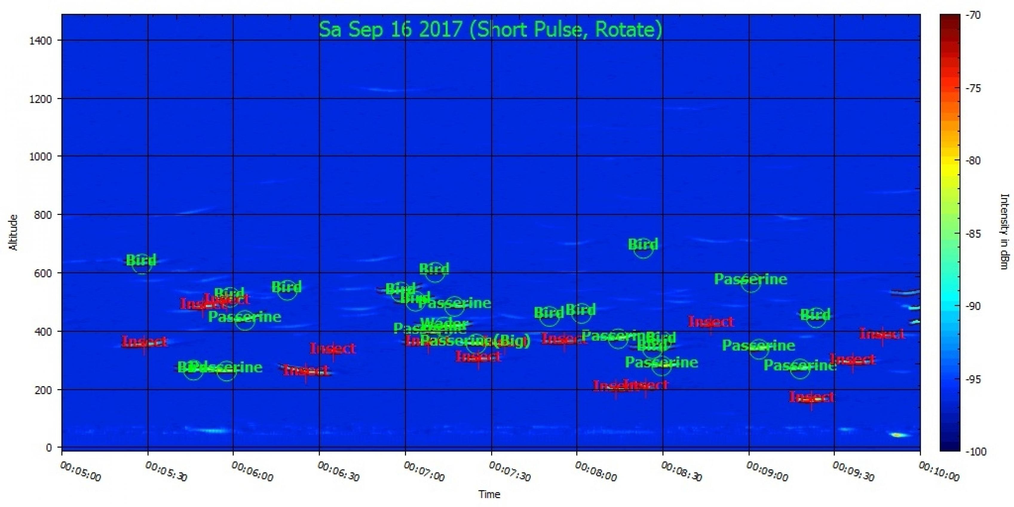 Grün bedeutet Vögel, rot Insekten: Diese Daten übermittel das Radargerät auf die Computer der Ornithologen. Fast in Echtzeit lässt sich so der Vogelzug rund um die Uhr beobachten.