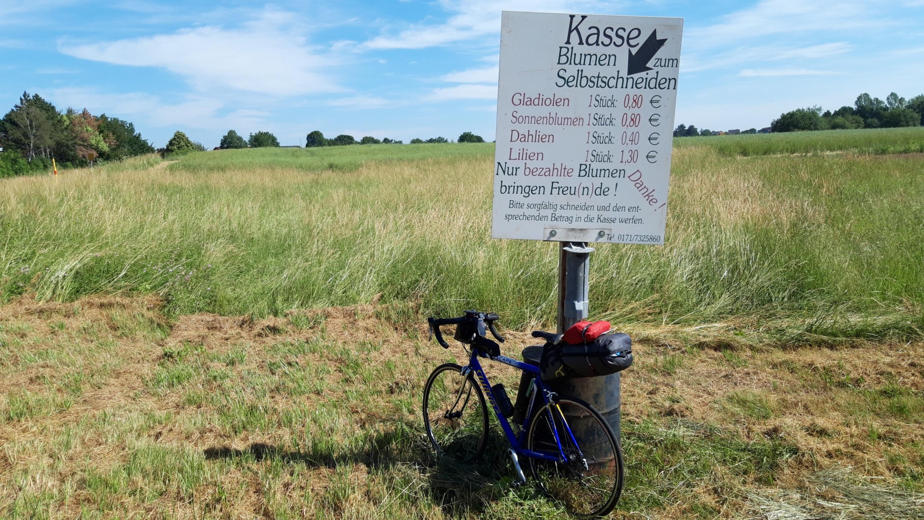 Rad Rennrad lehnt an einem Pfosten mit der Aufschrift „Blumen zum Selbstschneiden“ sowie Preisliste darunter. Allerdings steht nur hohes Gras hinter dem Schild.