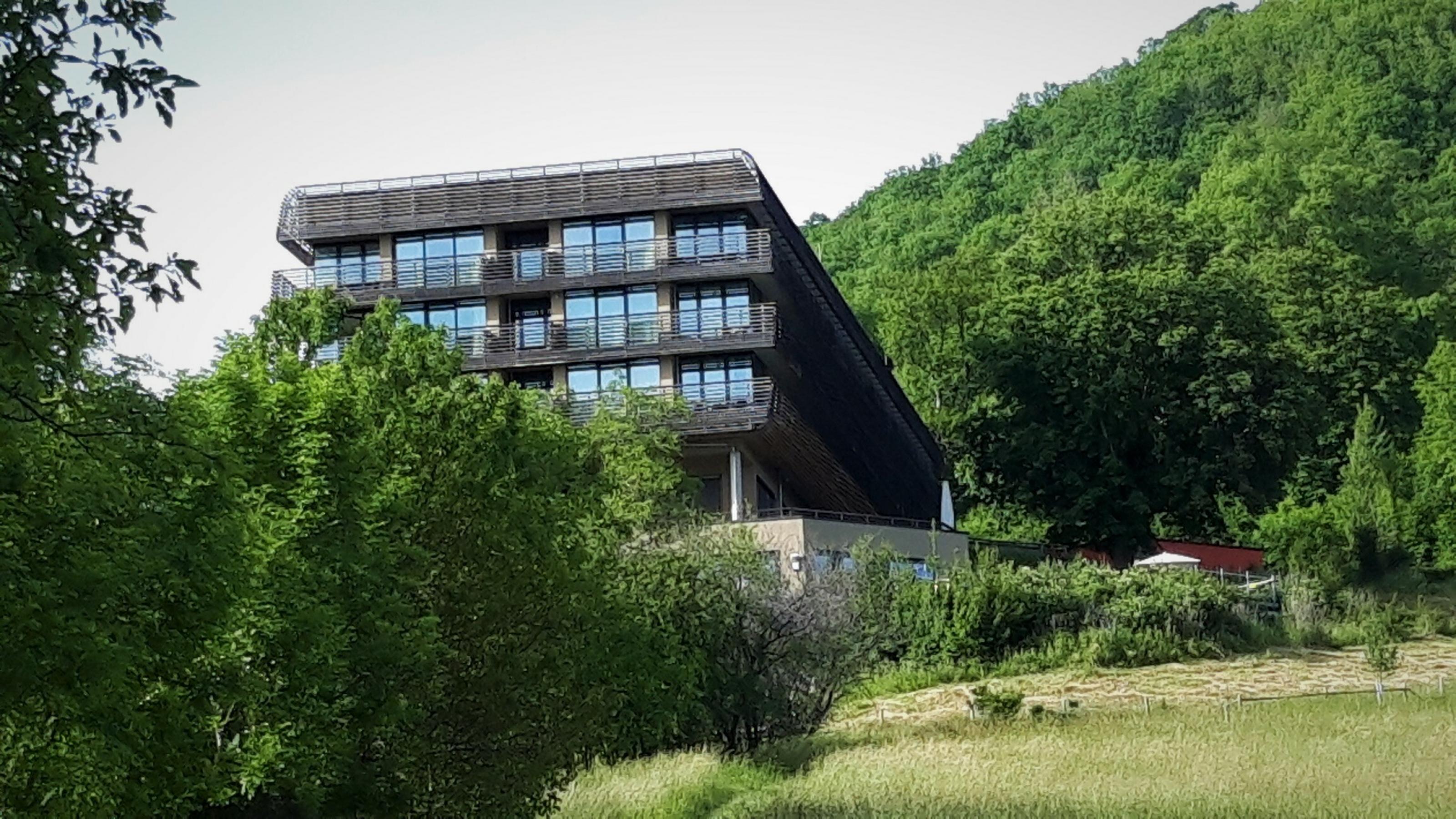 Zwischen Laubbäumen ragt der Kubus des Hotels heraus, dessen Holzfassade das Gebäude aber in Einklang mit der Natur bringt.