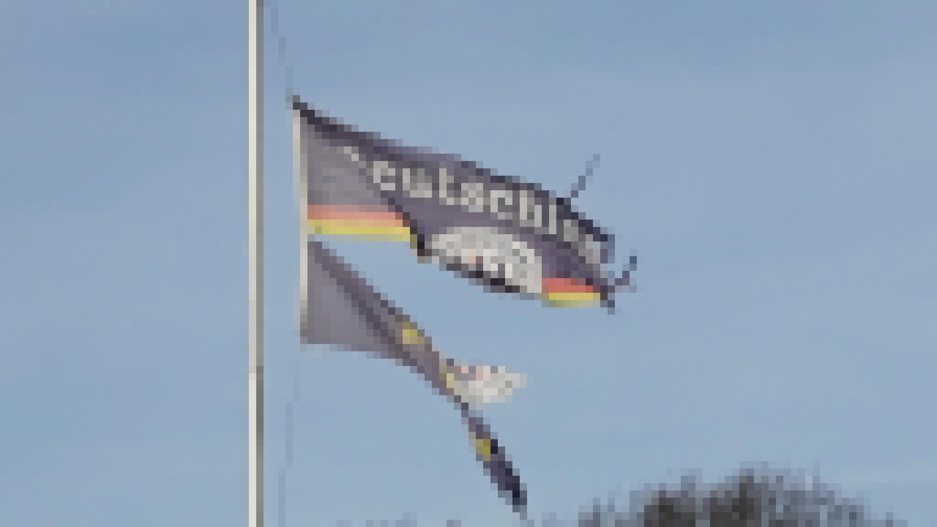 Zerrissene Deutschland-Flagge im Wind flatternd