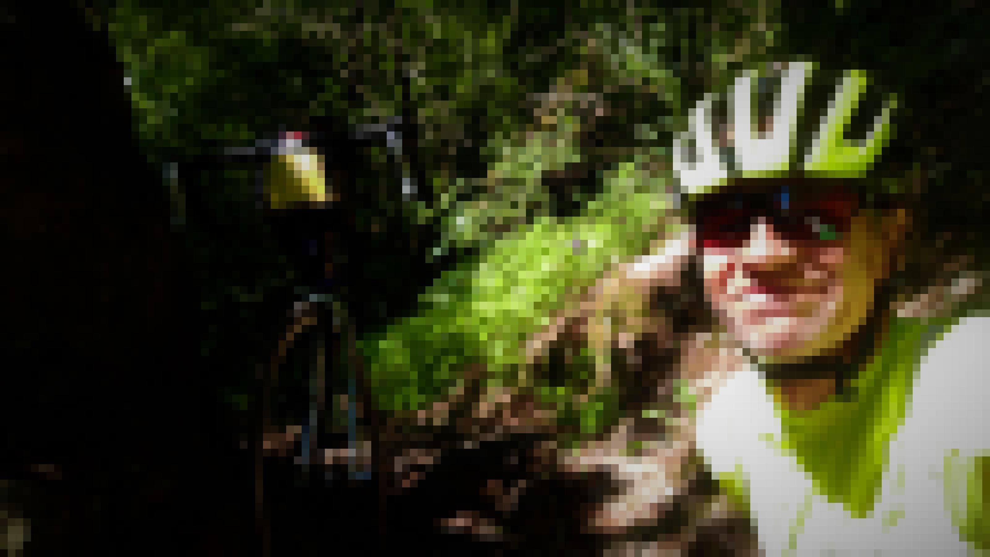 Selbstporträt mit Helm, im Wald; das Rad lehnt an einem Felsen.