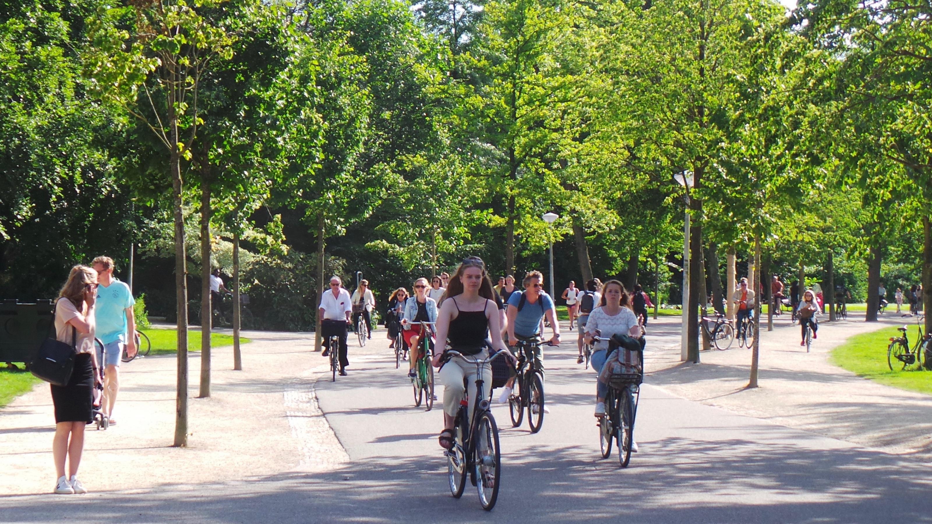 Blick auf eine von vielen Radfahrern genutzte Straße im Park. Sie ist gesäumt von grünen Bäumen und die Sonne scheint.